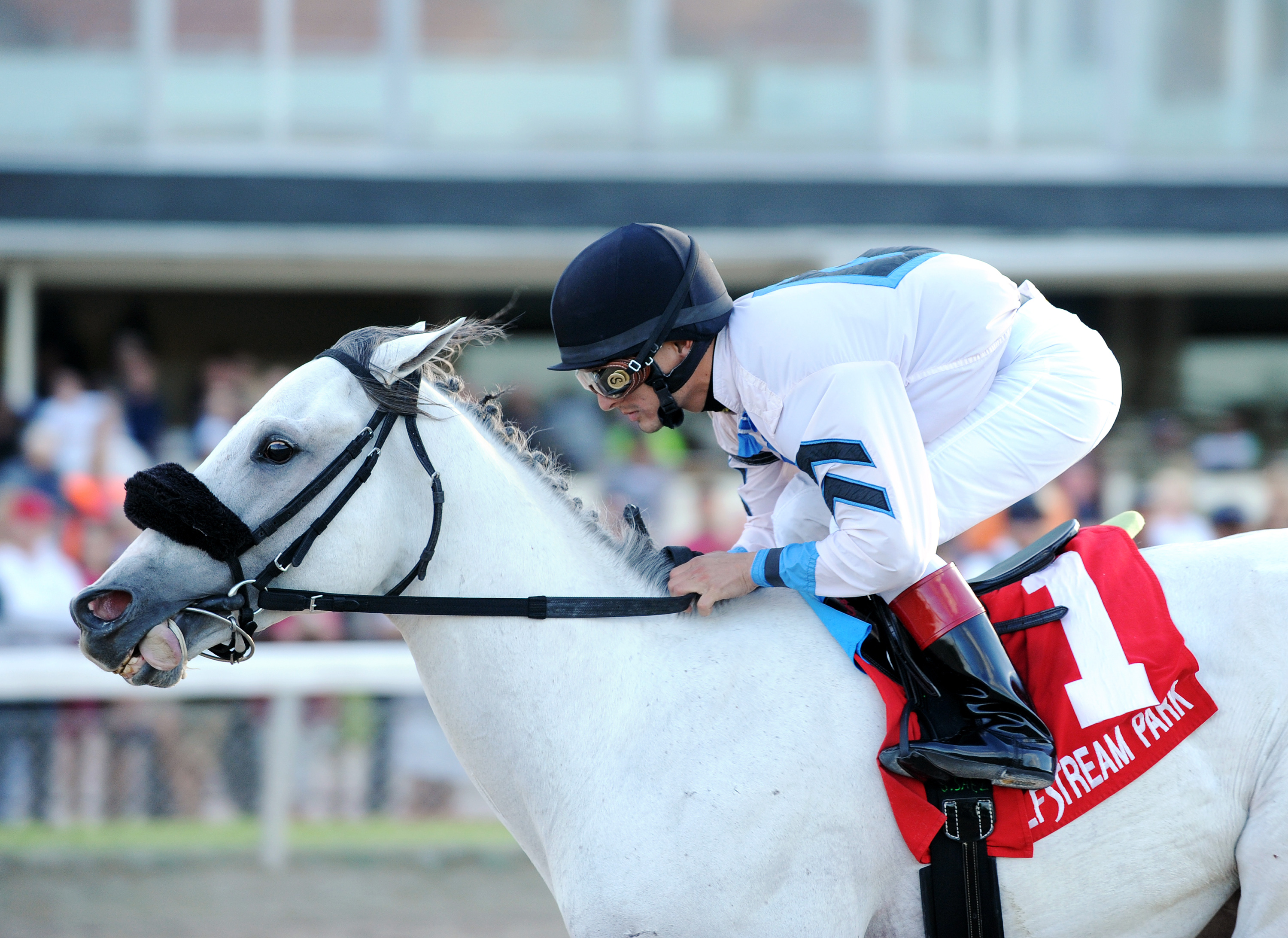 Mr. Jordan wins the Smooth Air Stakes