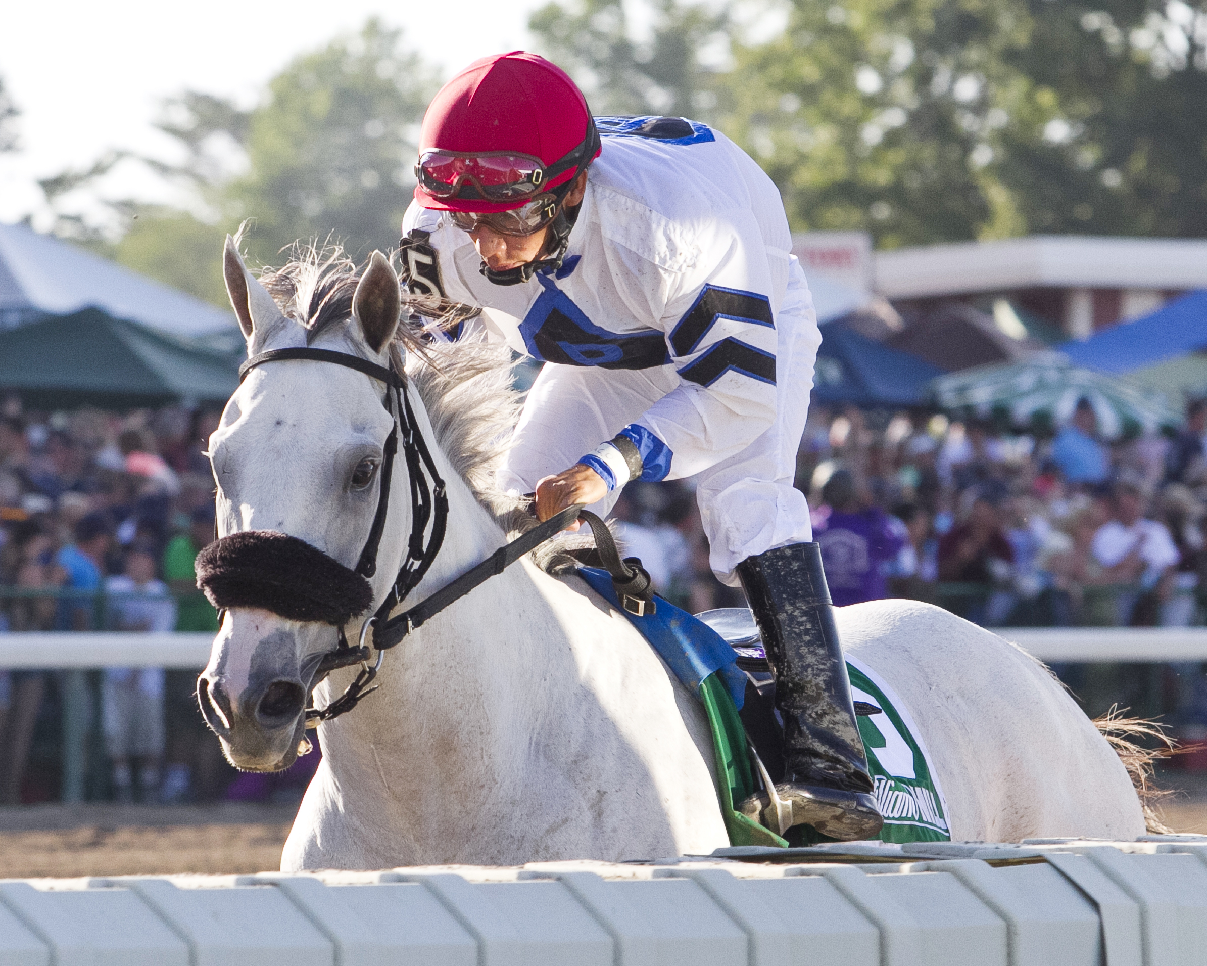 Mr. Jordan finishes seventh in the Haskell