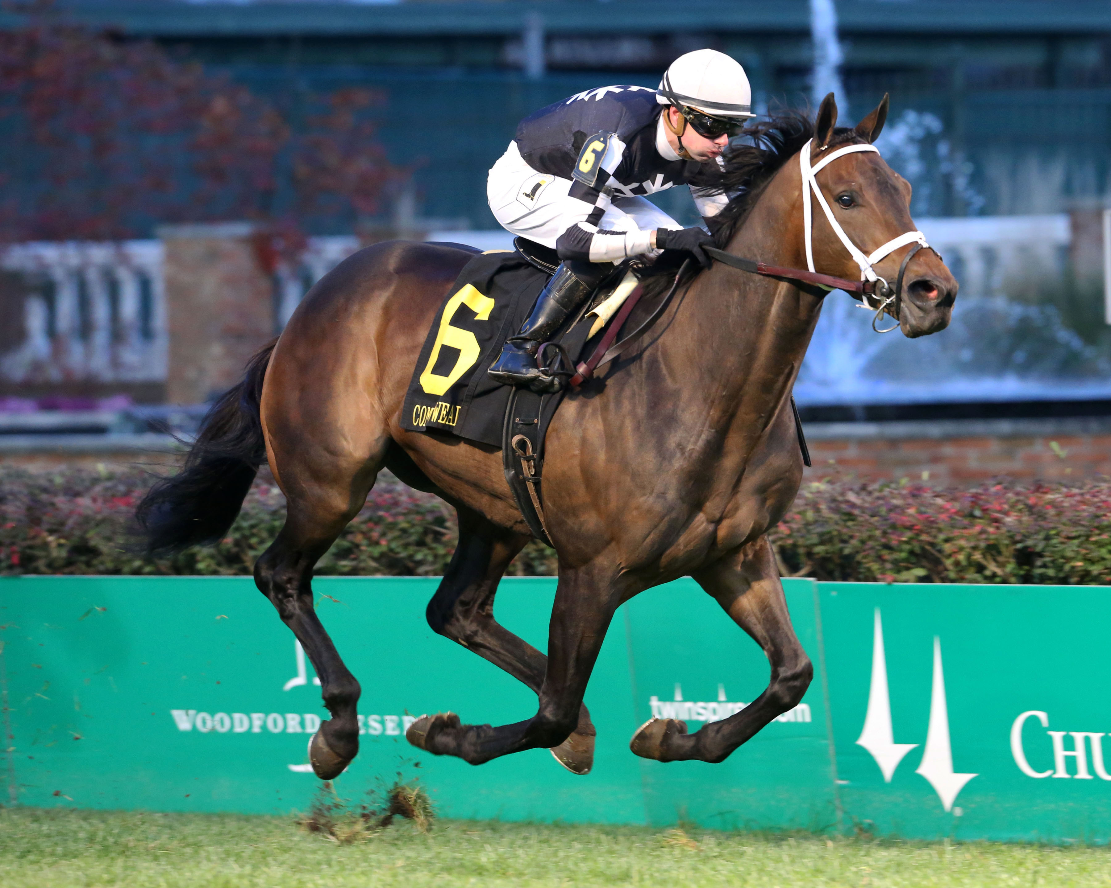 Mr. Misunderstood wins the 2017 Commonwealth Turf