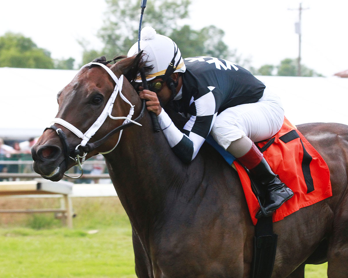 Mr. Misunderstood wins the Kentucky Downs Preview Tourist Mile