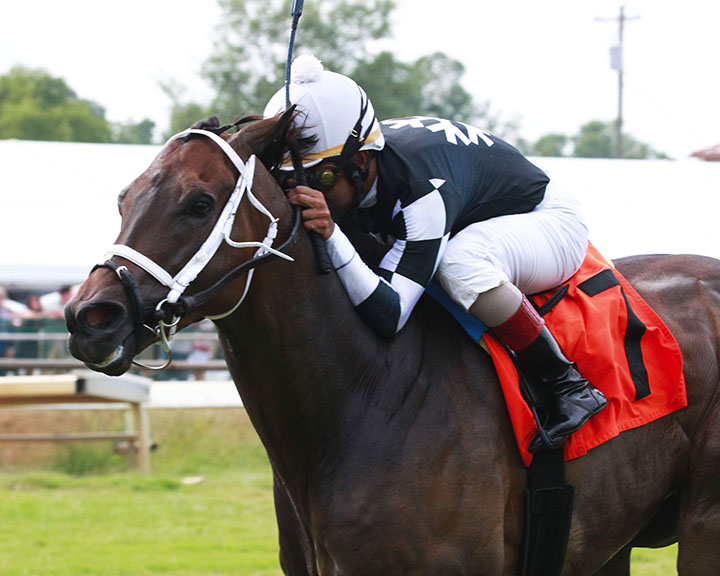 Mr. Misunderstood wins the 2018 Kentucky Downs Preview Tourist Mile