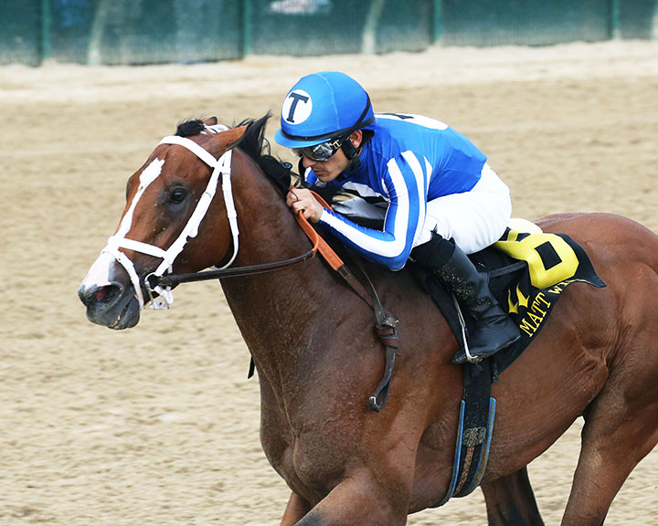 Mr. Money wins the 2019 Matt Winn