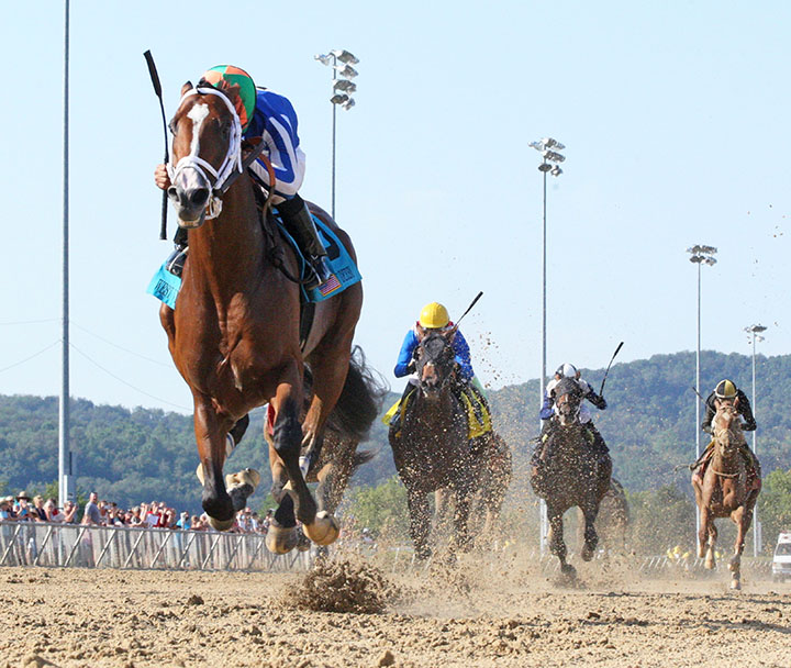 Mr. Money wins the 2019 West Virginia Derby at Mountaineer