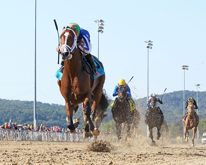 Mr. Money wins the 2019 West Virginia Derby at Mountaineer Park