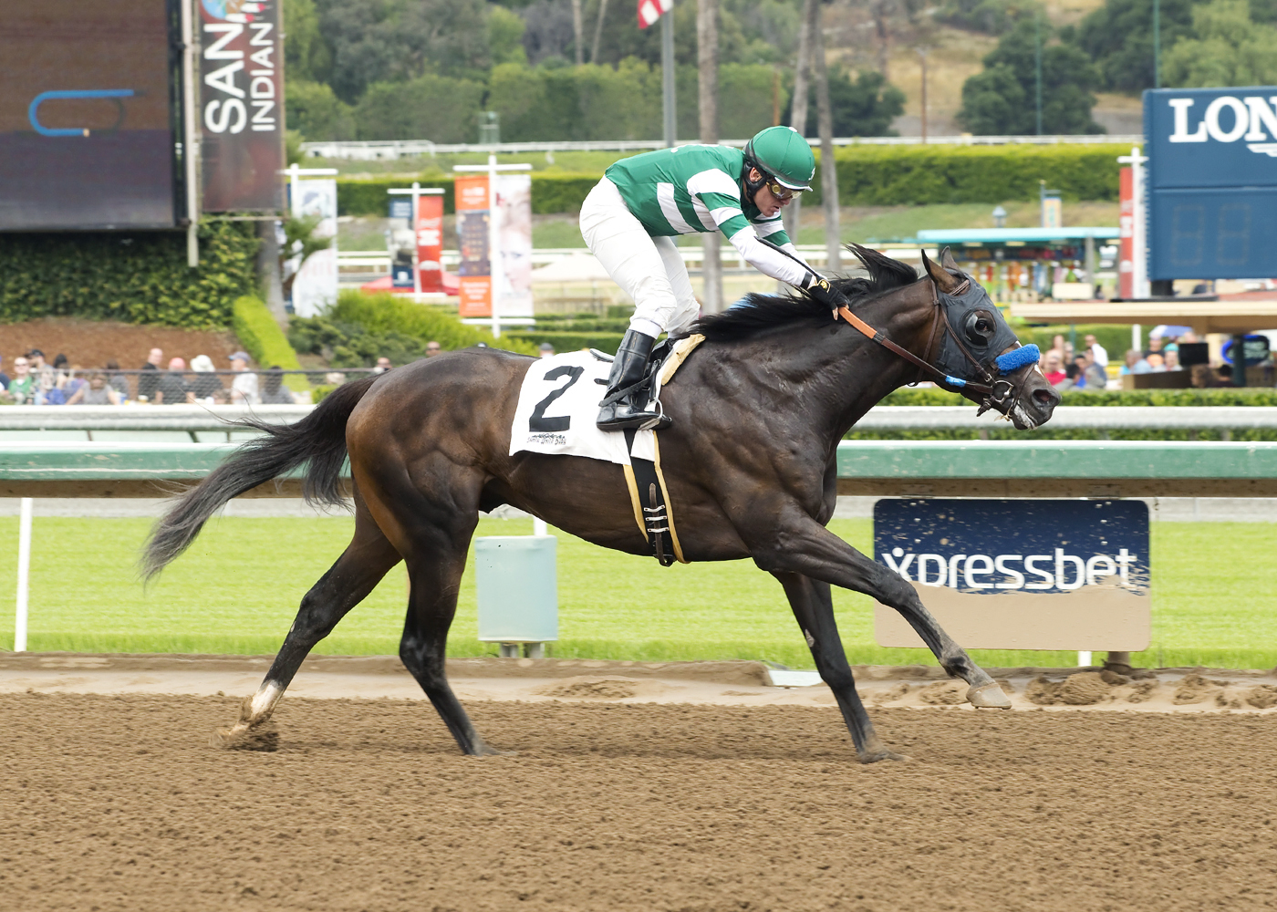 Mr. Opportunist wins the Desert Code Stakes