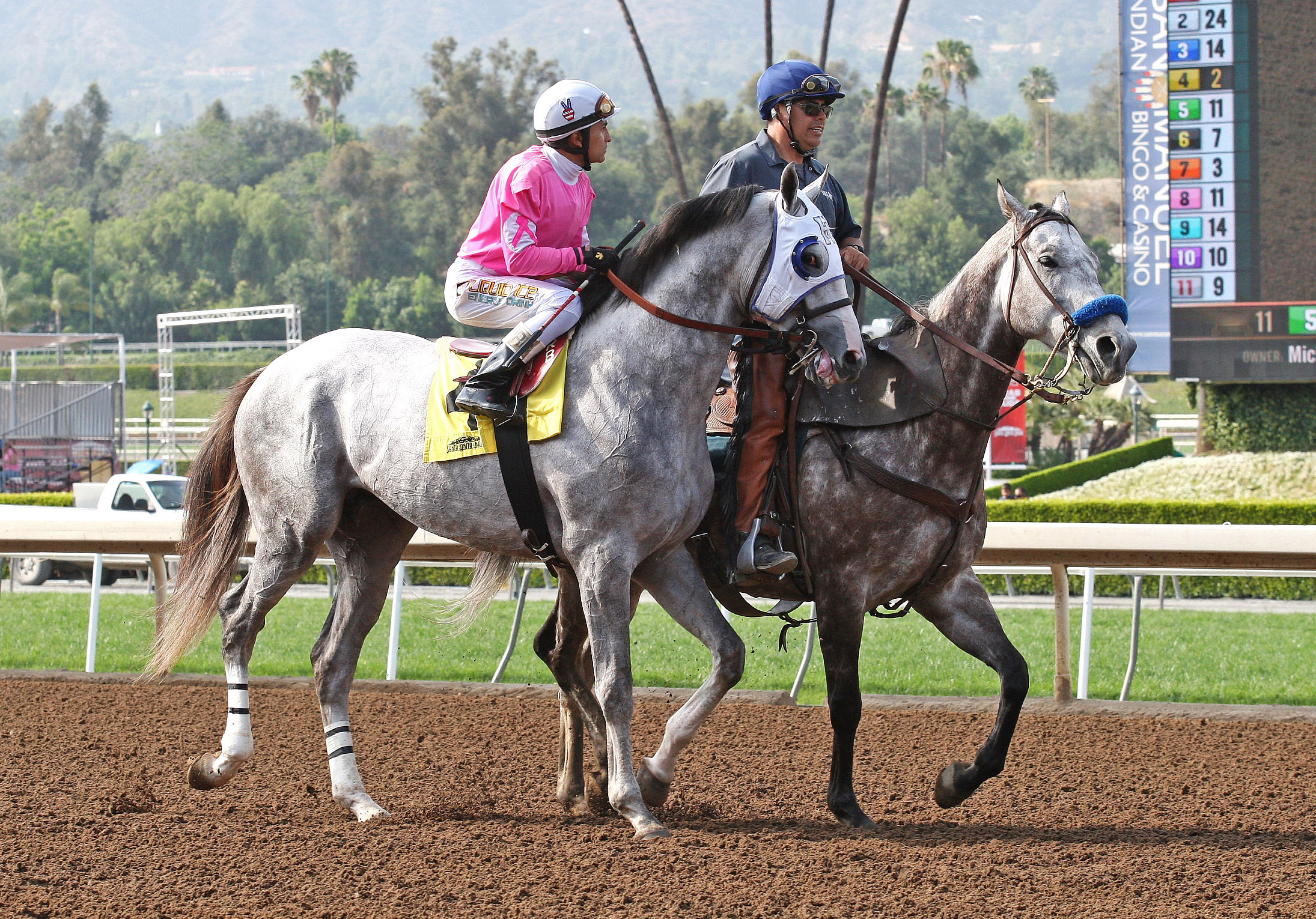 Mr. Pucci at Santa Anita in May 2015