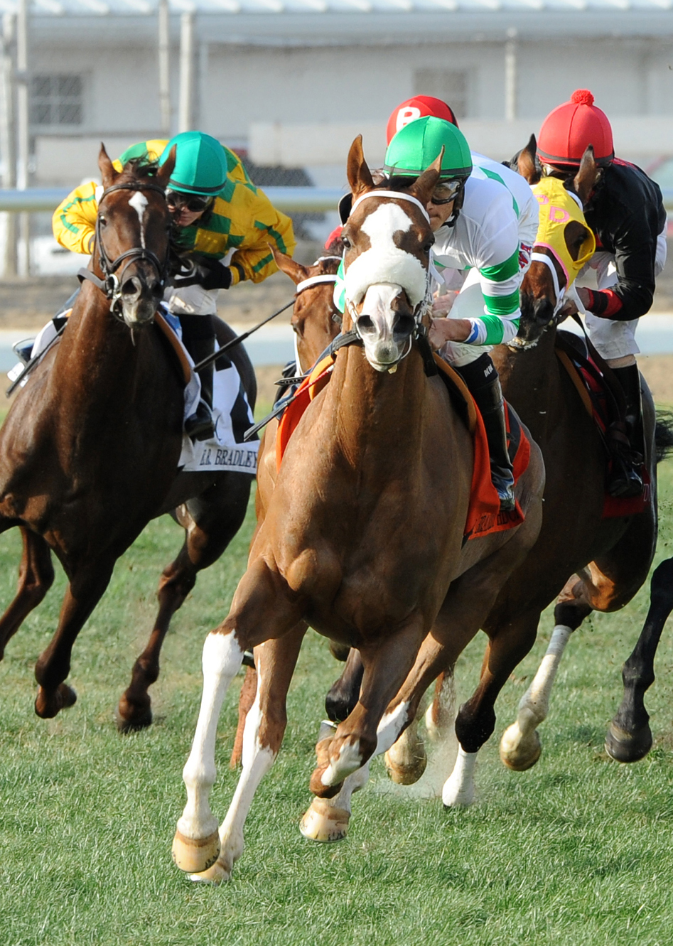 Mr. Vegas Col. E.R. Bradley Handicap
