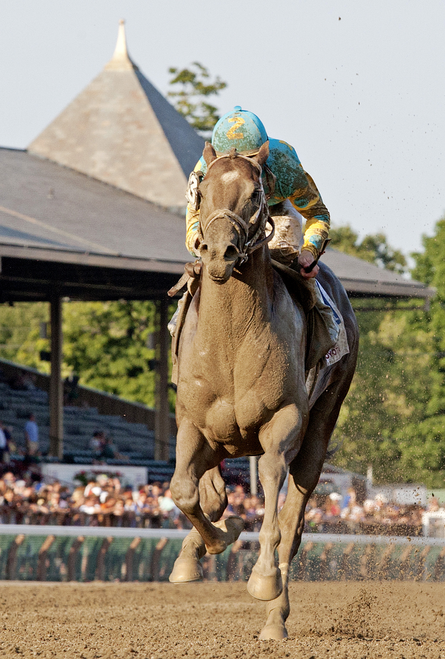 Mr. Z finishes second in the Saratoga Special Stakes