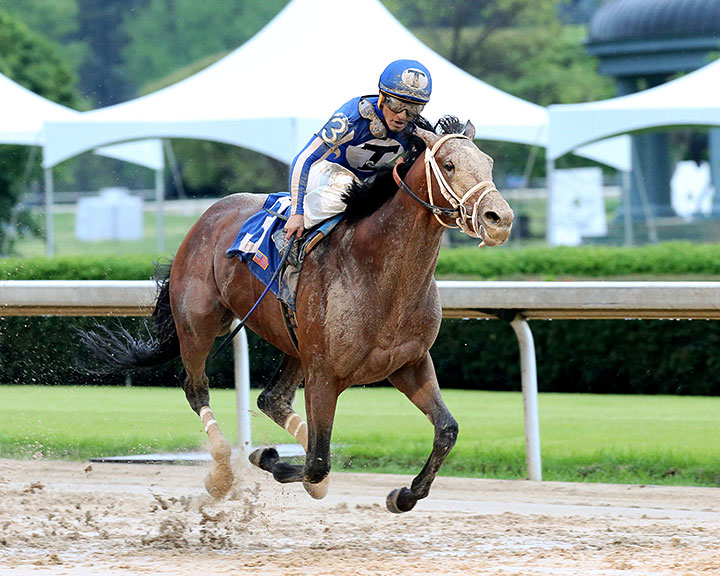 Mr. Big News wins the 2020 Oaklawn Stakes at Oaklawn Park