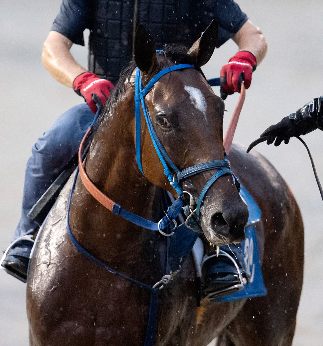 Mr. Big News at Churchill Downs on Sept. 3