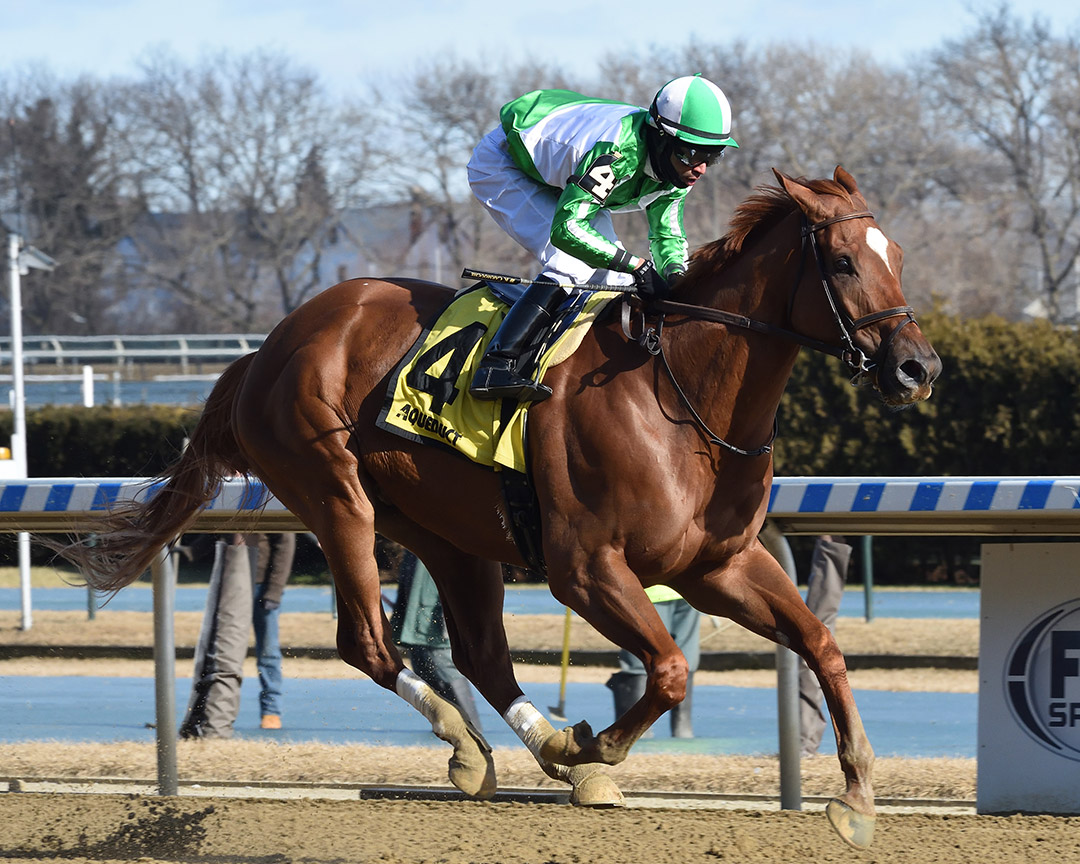 Mr. Buff wins the 2021 Jazil Stakes at Aqueduct Racetrack