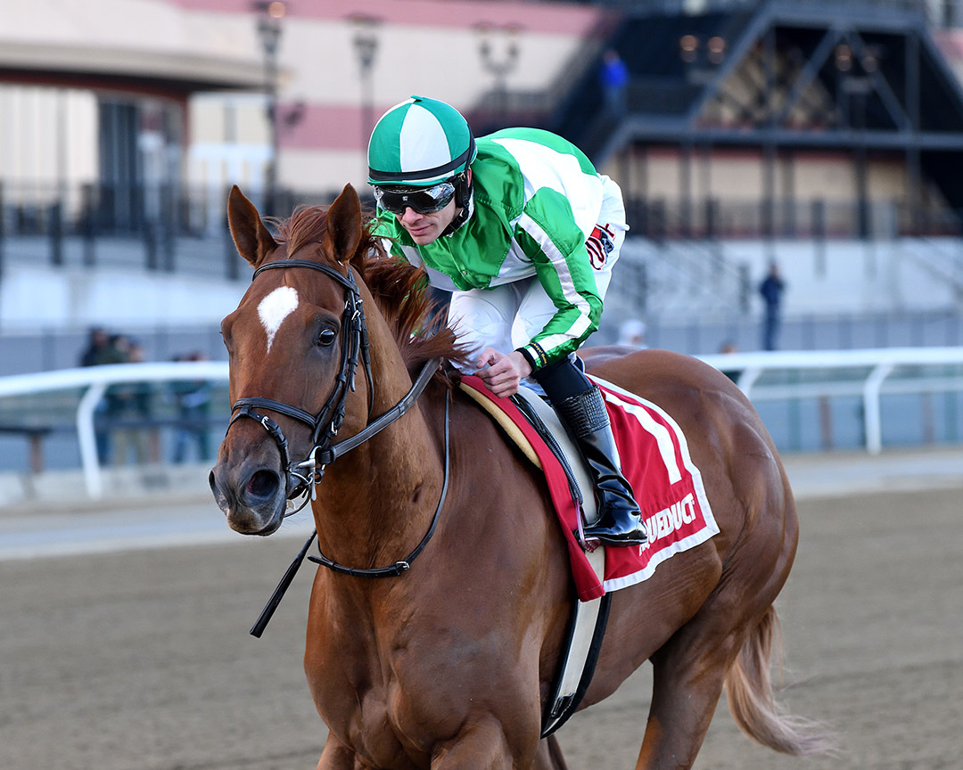 Mr. Buff wins the 2020 Haynesfield Stakes at Aqueduct Racetrack