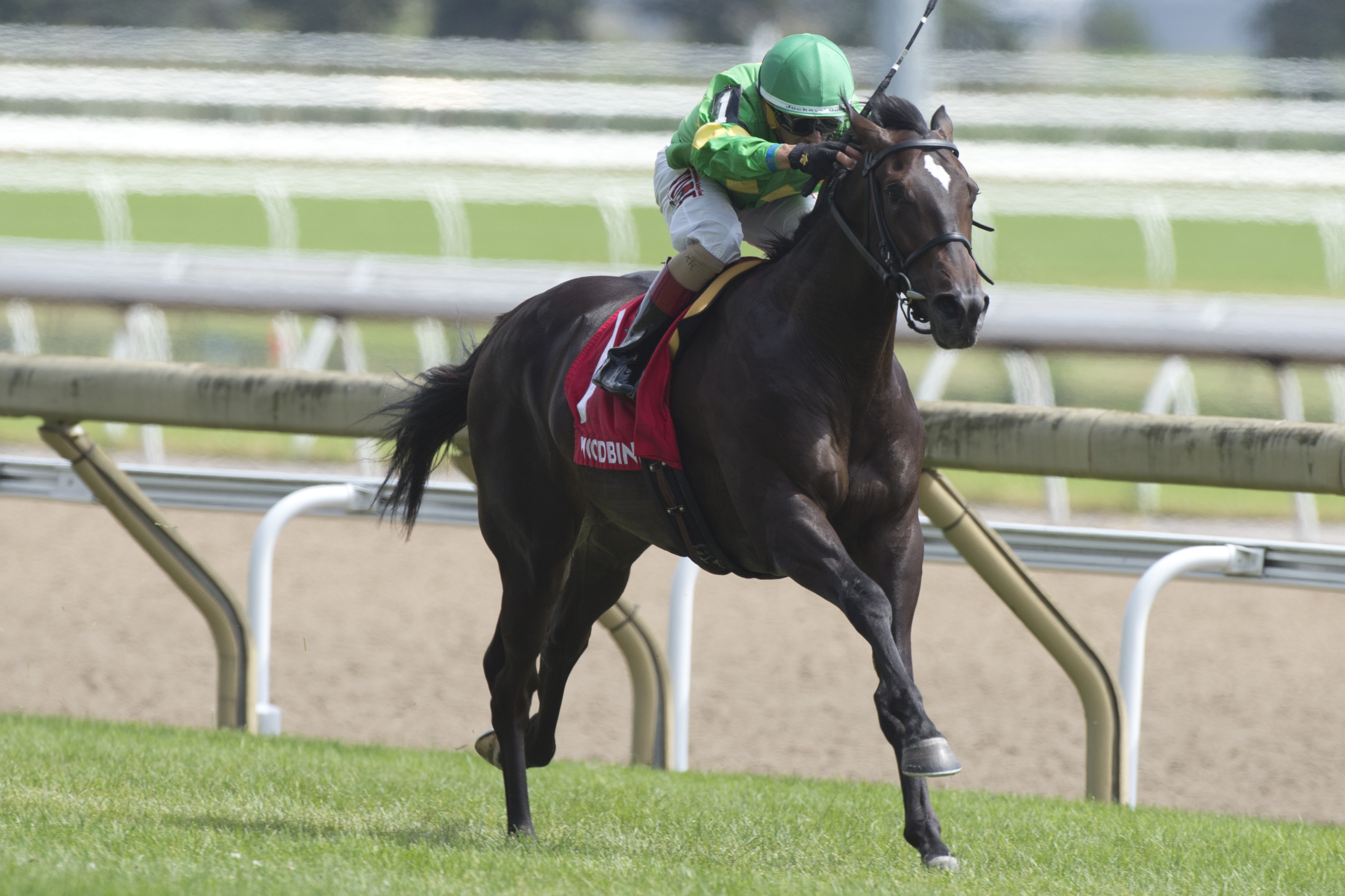 Mr. Hustle wins the 2019 Soaring Free Stakes