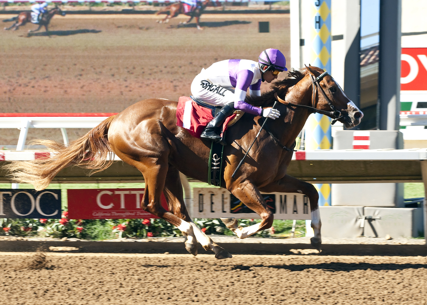 Mrazek, Graduation Stakes