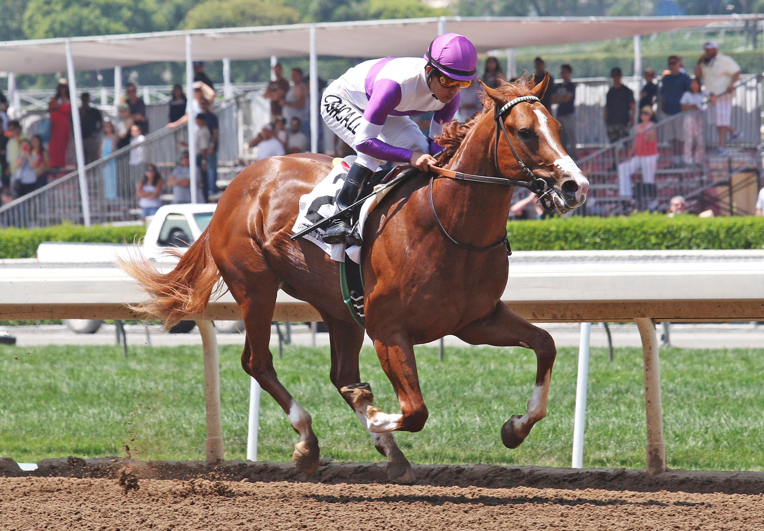 Mrazek wins a maiden race