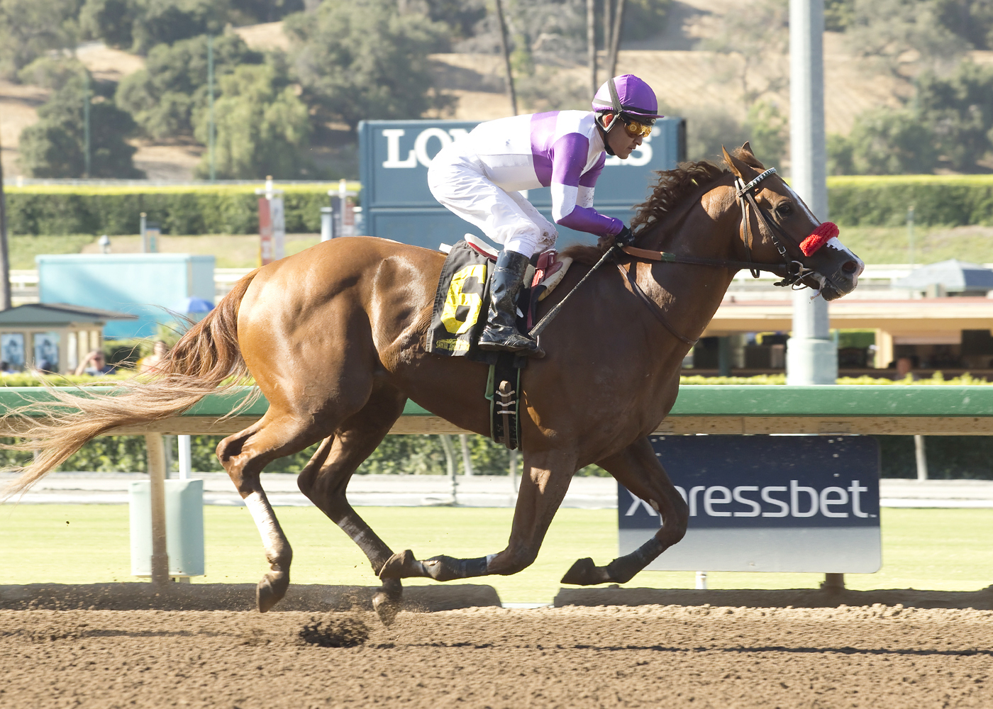 Mrazek wins the Thor's Echo Stakes
