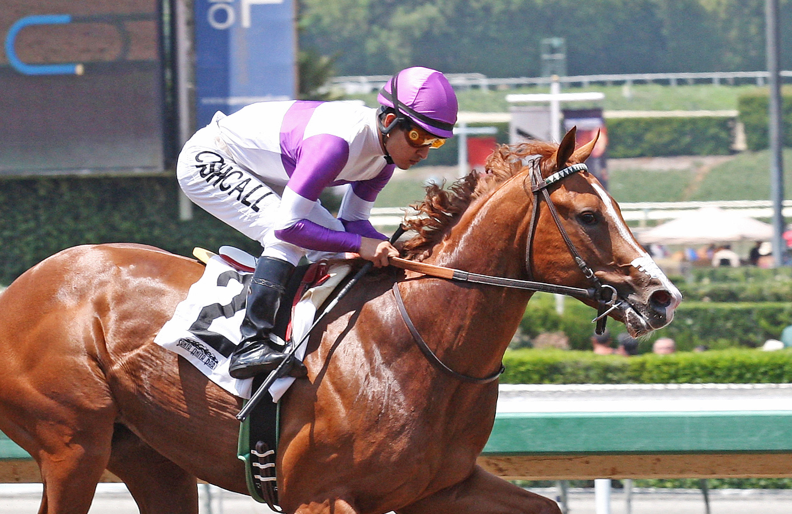 Mrazek wins a maiden race