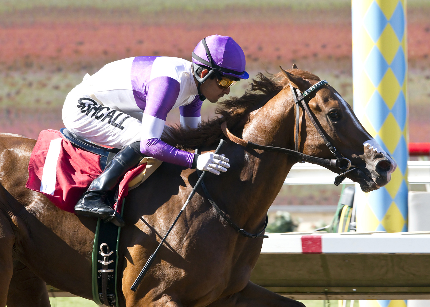 Mrazek wins the Graduation Stakes