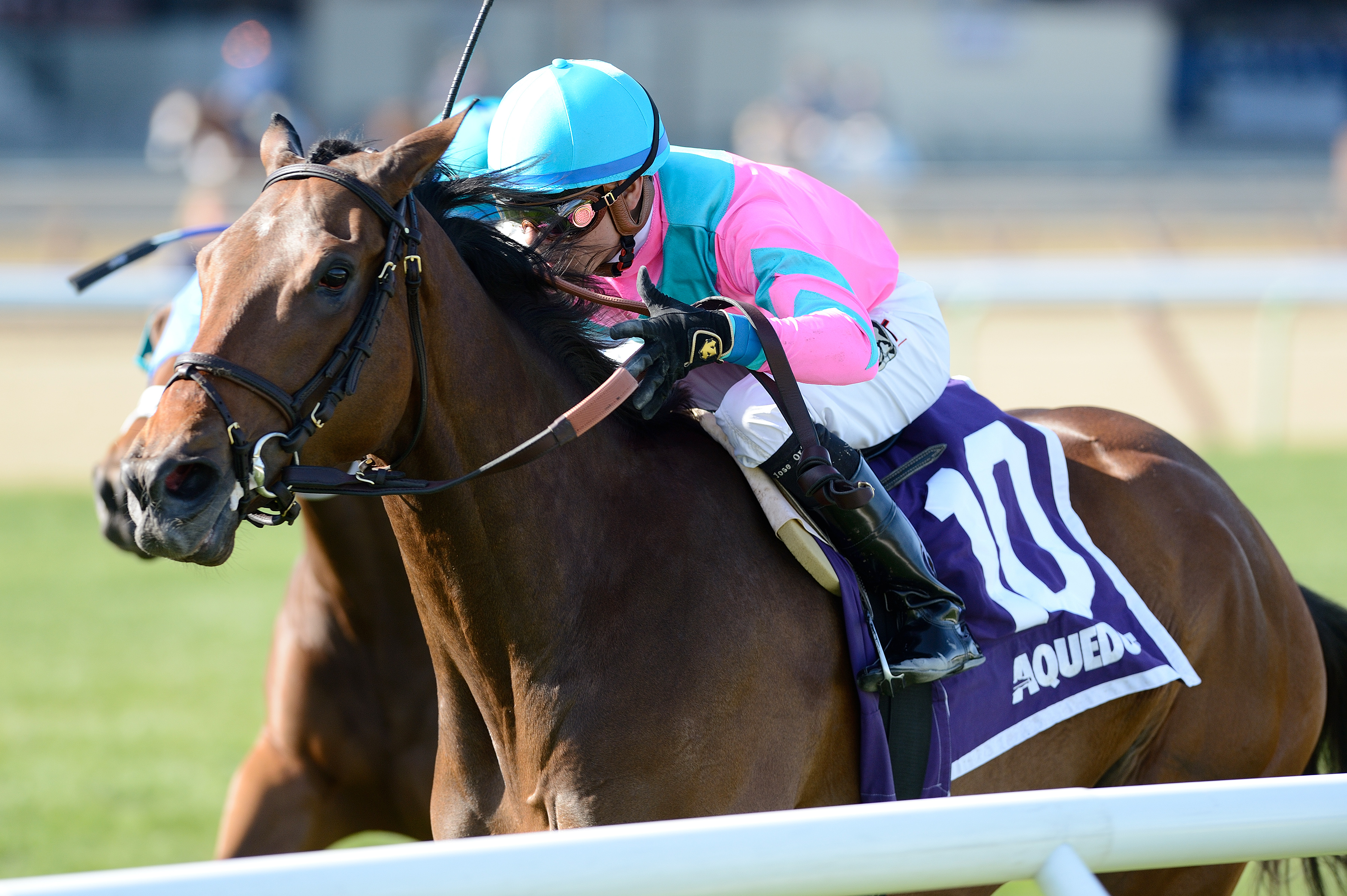 Mrs McDougal wins the Plenty of Grace