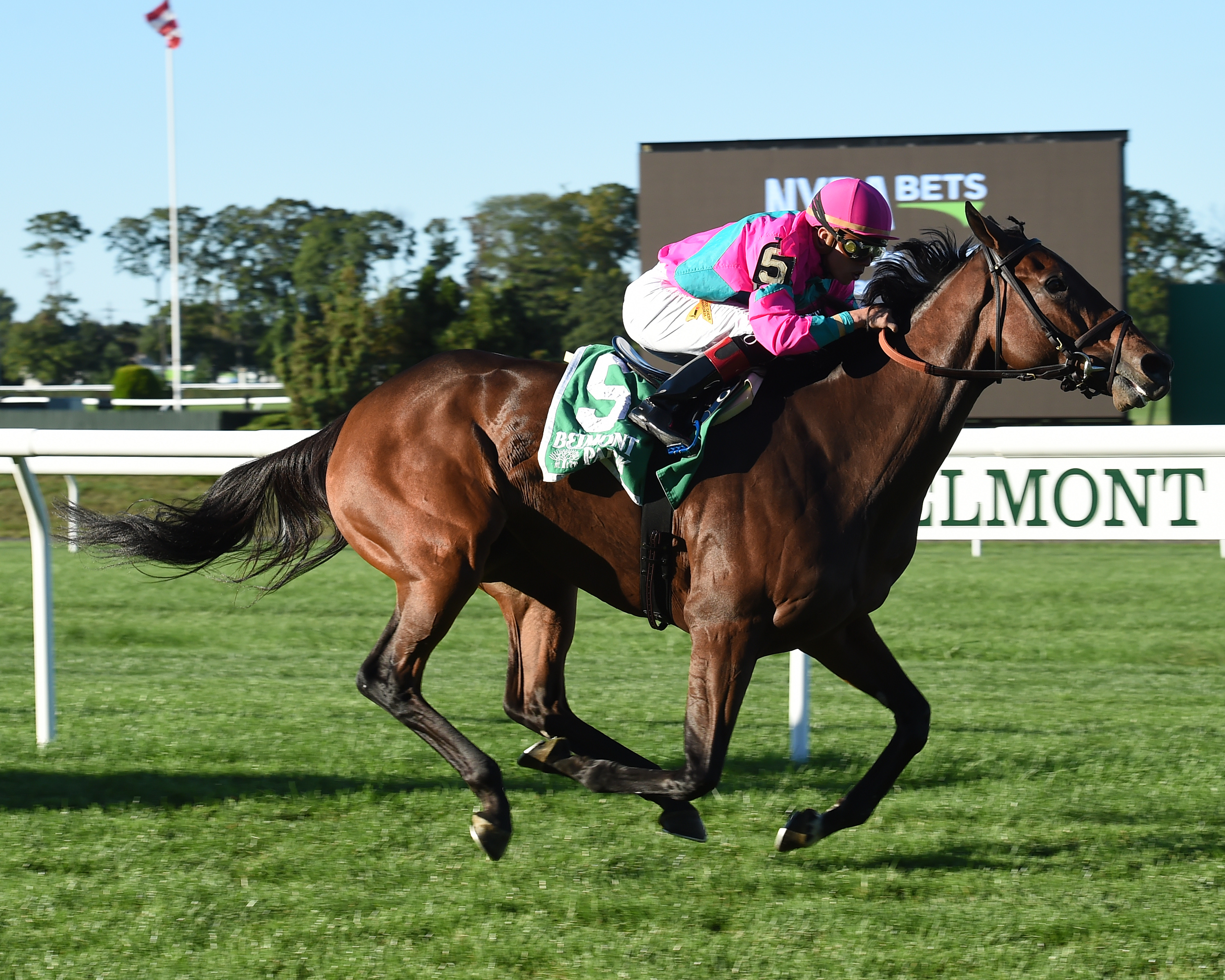 Mrs McDougal wins the 2016 Noble Damsel