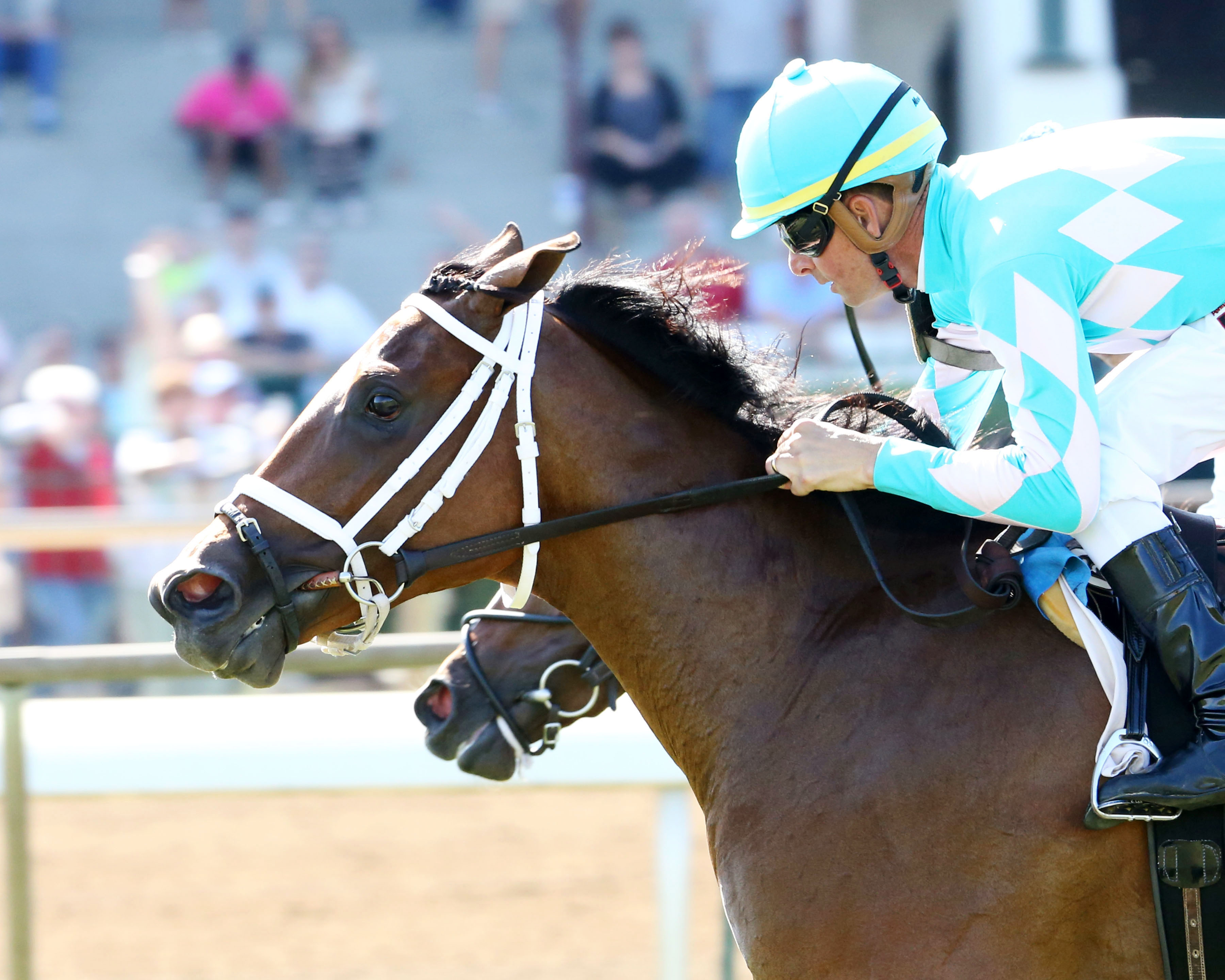 Mrs Rocco wins an Aug. 27 maiden race