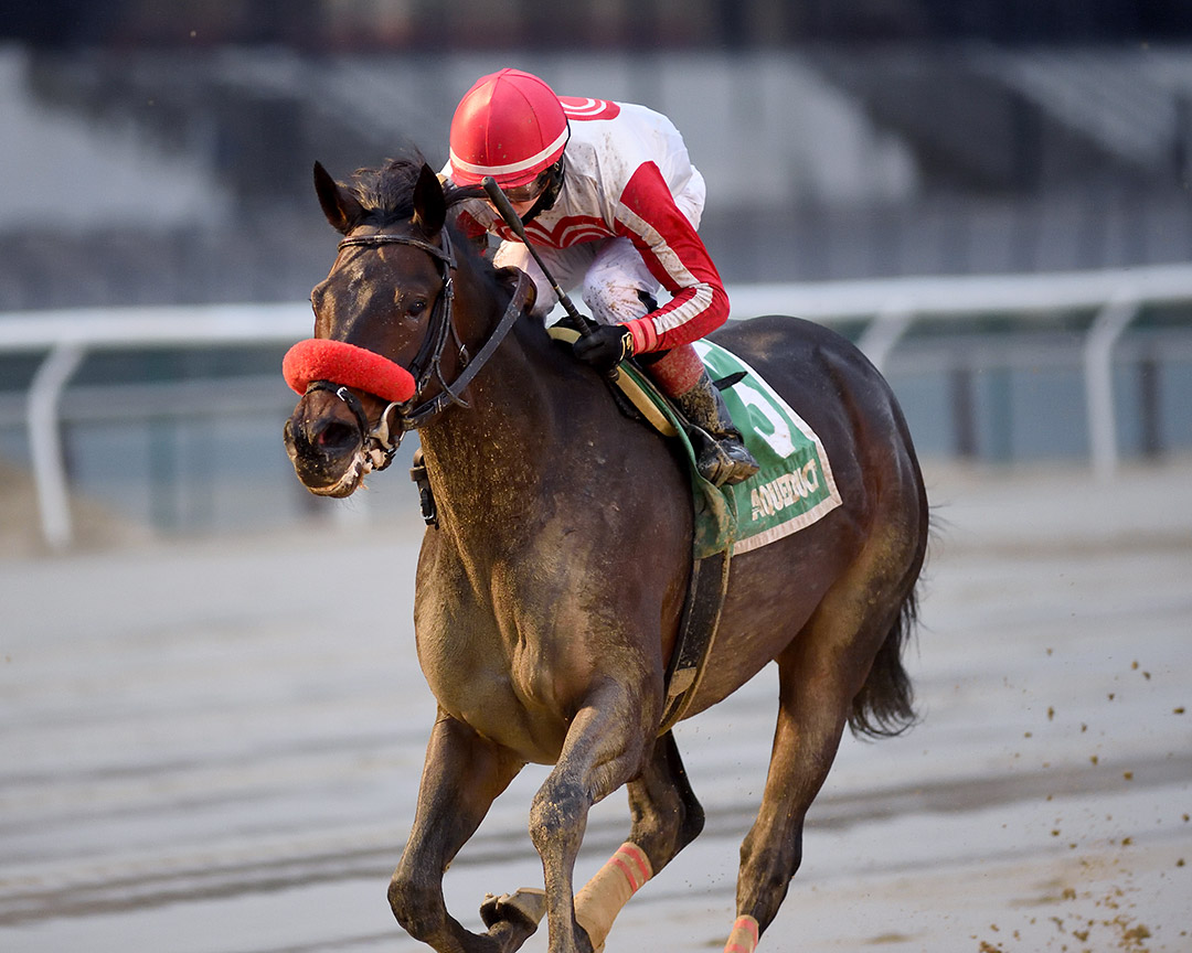 Mrs. Orb wins the 2021 La Verdad Stakes at Aqueduct Racetrack