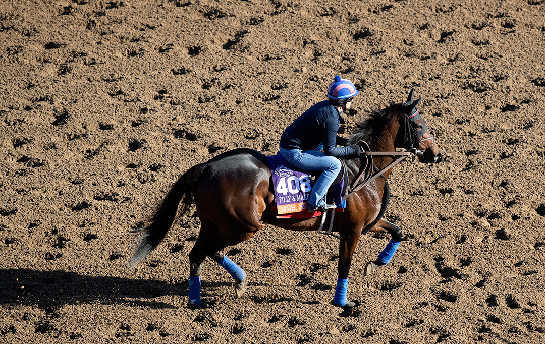 Mrs. Sippy trains at Santa Anita Park for the Breeders' Cup in October 2019