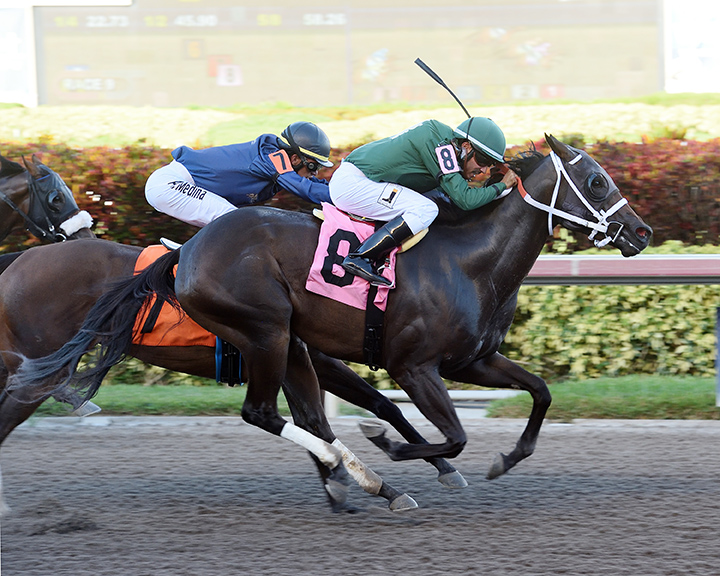 Mrs. Crews wins an Aug. 17 allowance race