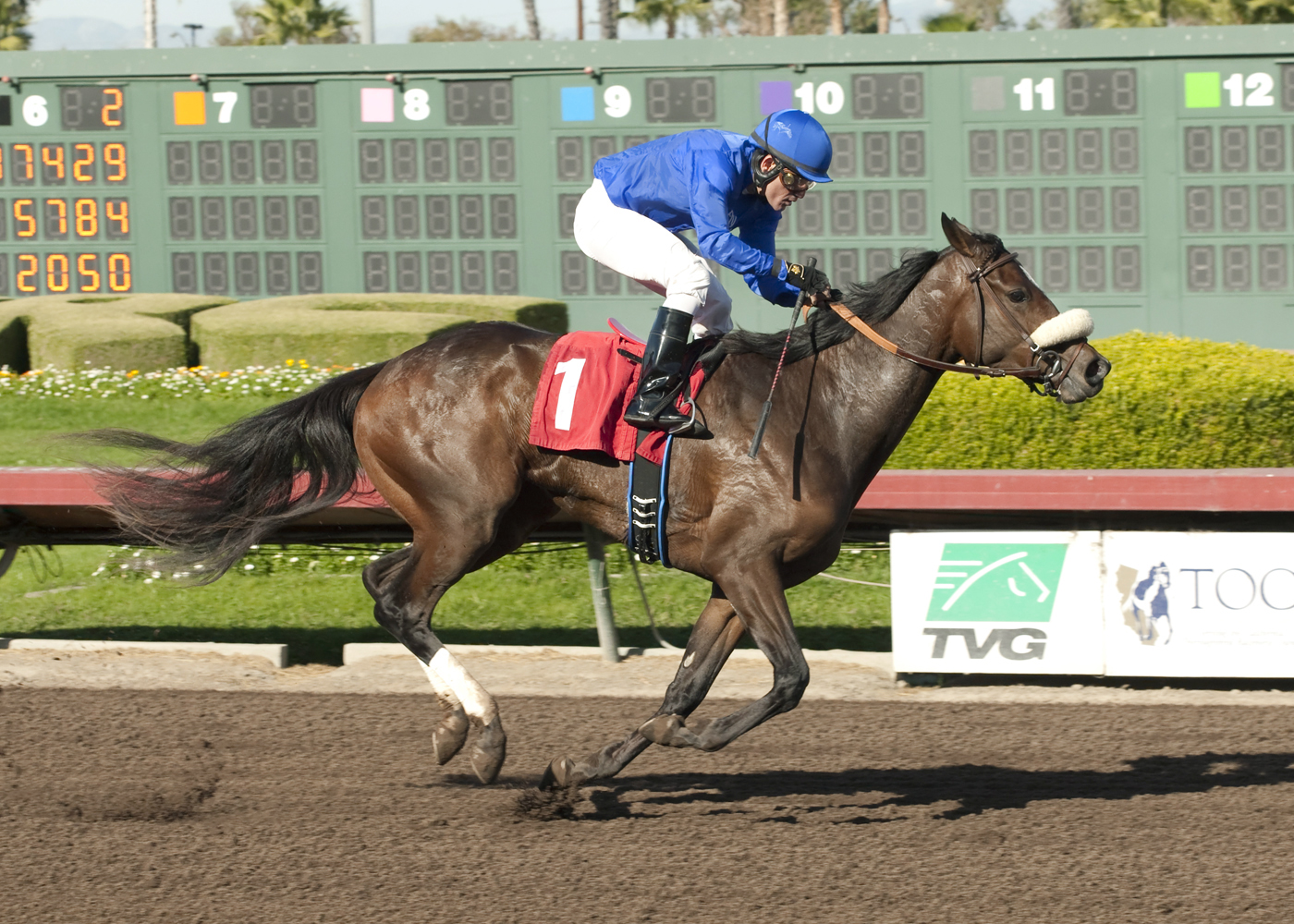 Mrs. Norris wins a maiden race at Los Alamitos