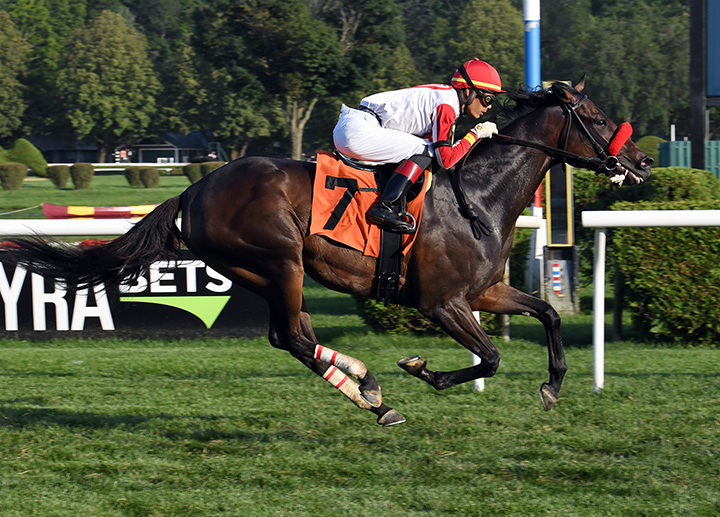 Mrs. Orb wins an Aug. 2 maiden race at Saratoga Race Course