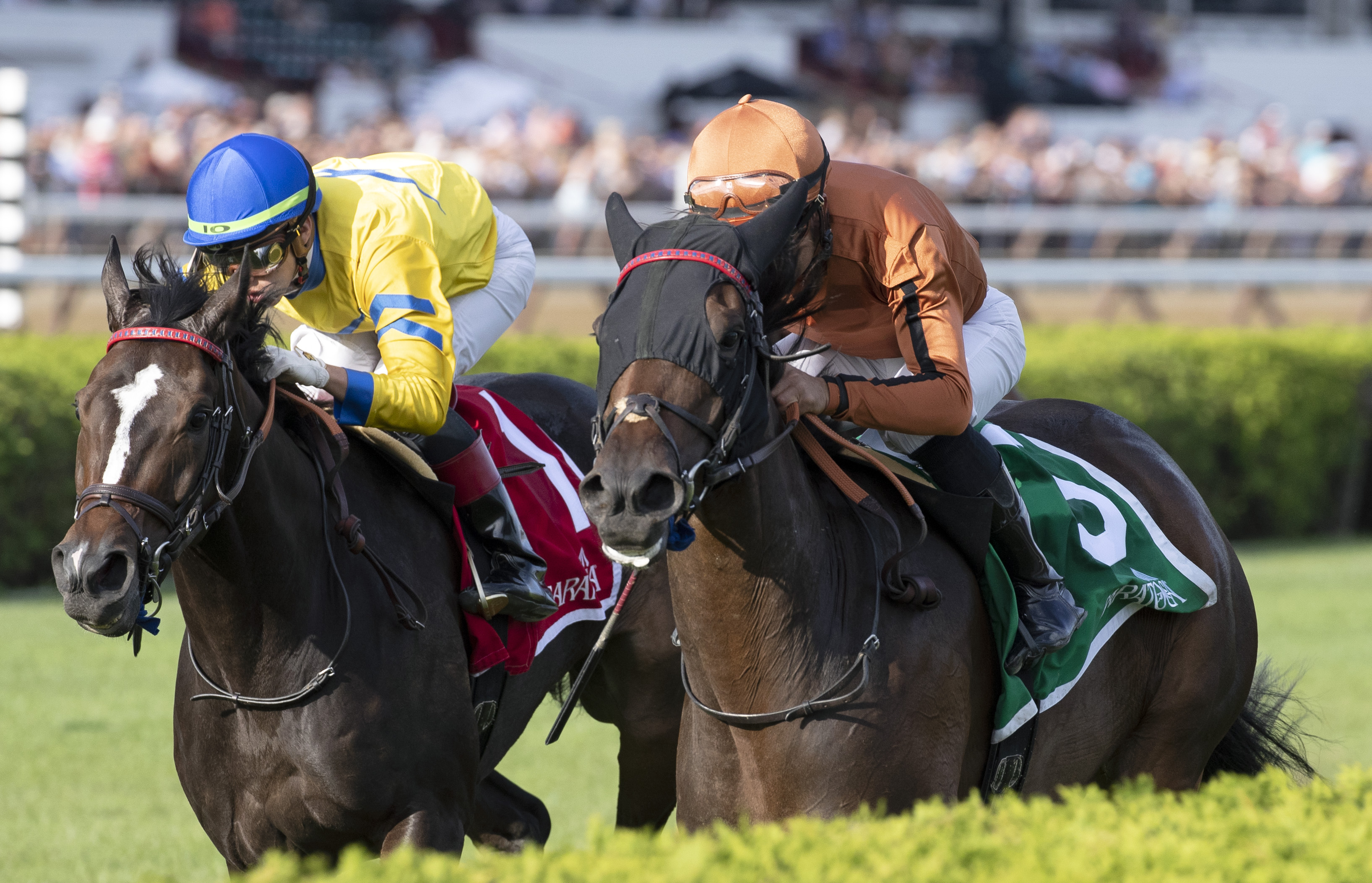 Mrs. Sippy (left) defeats Empressof the Nile in the 2019 Glens Falls