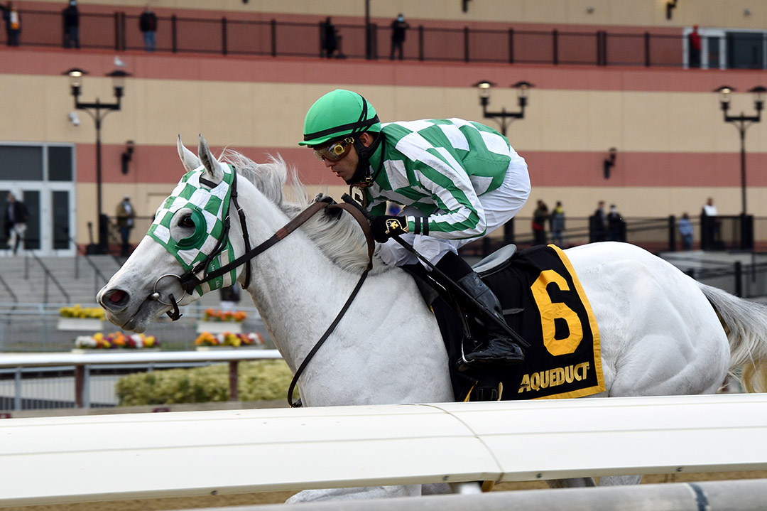 Mrs. Danvers wins the 2020 Comely Stakes at Aqueduct Racetrack