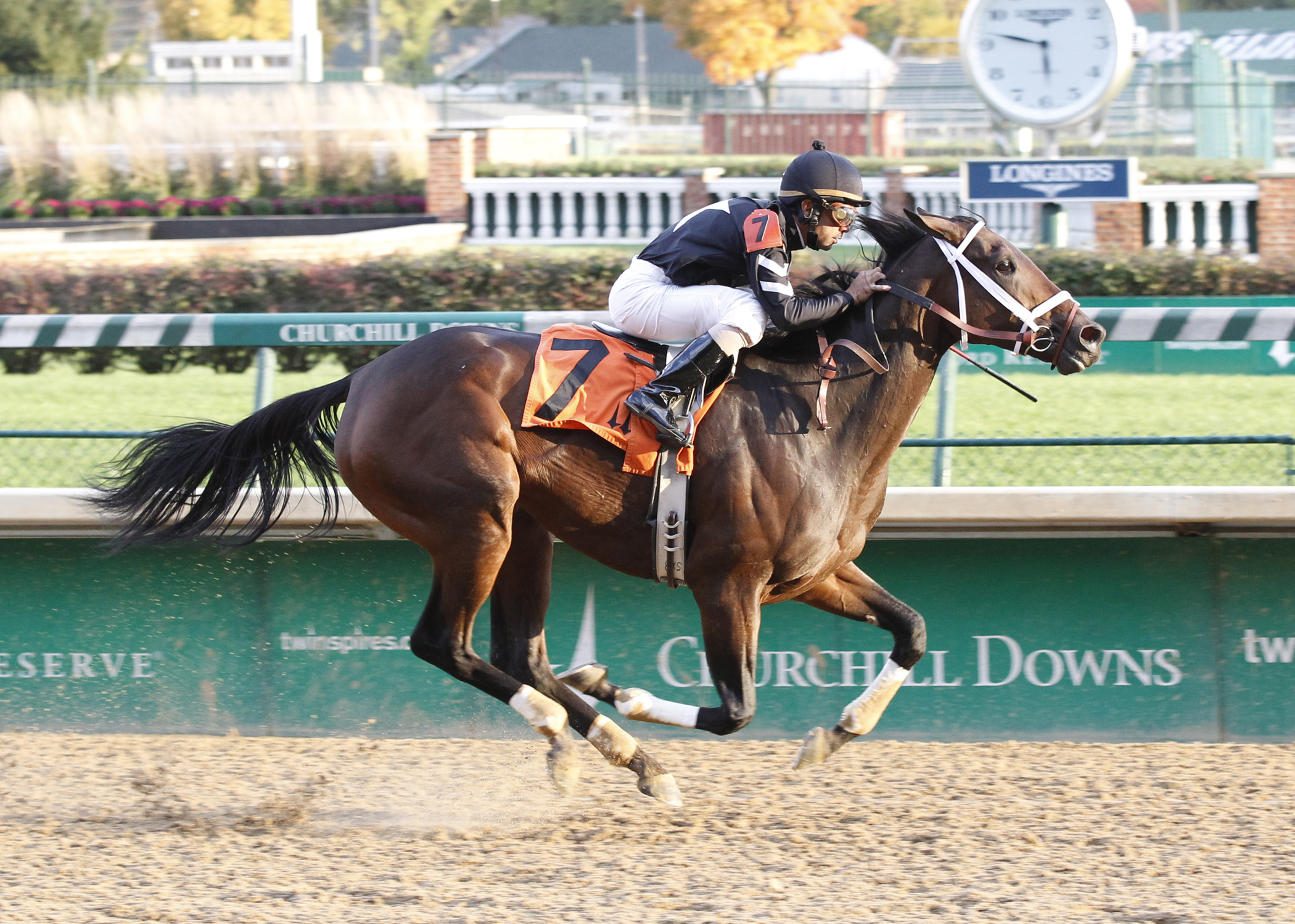 Ms Anna Destiny wins the Dream Supreme
