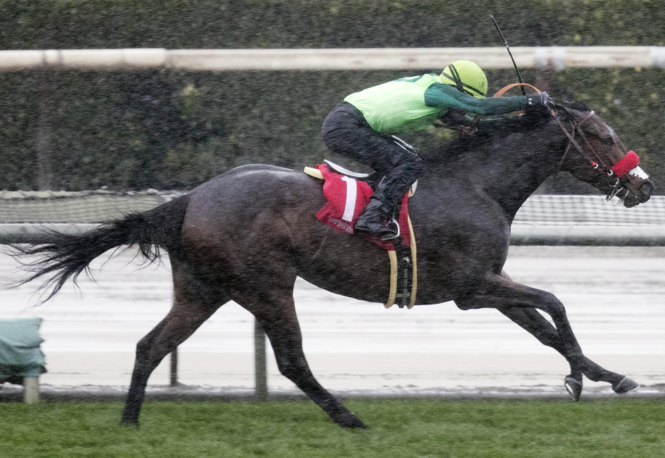 Ms Bad Behavior wins the China Doll Stakes