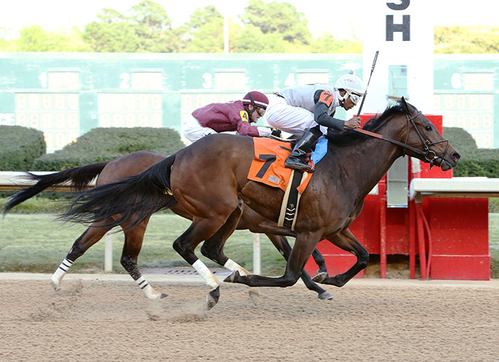 Ms Fifty First St wins an April 12, 2018, allowance race