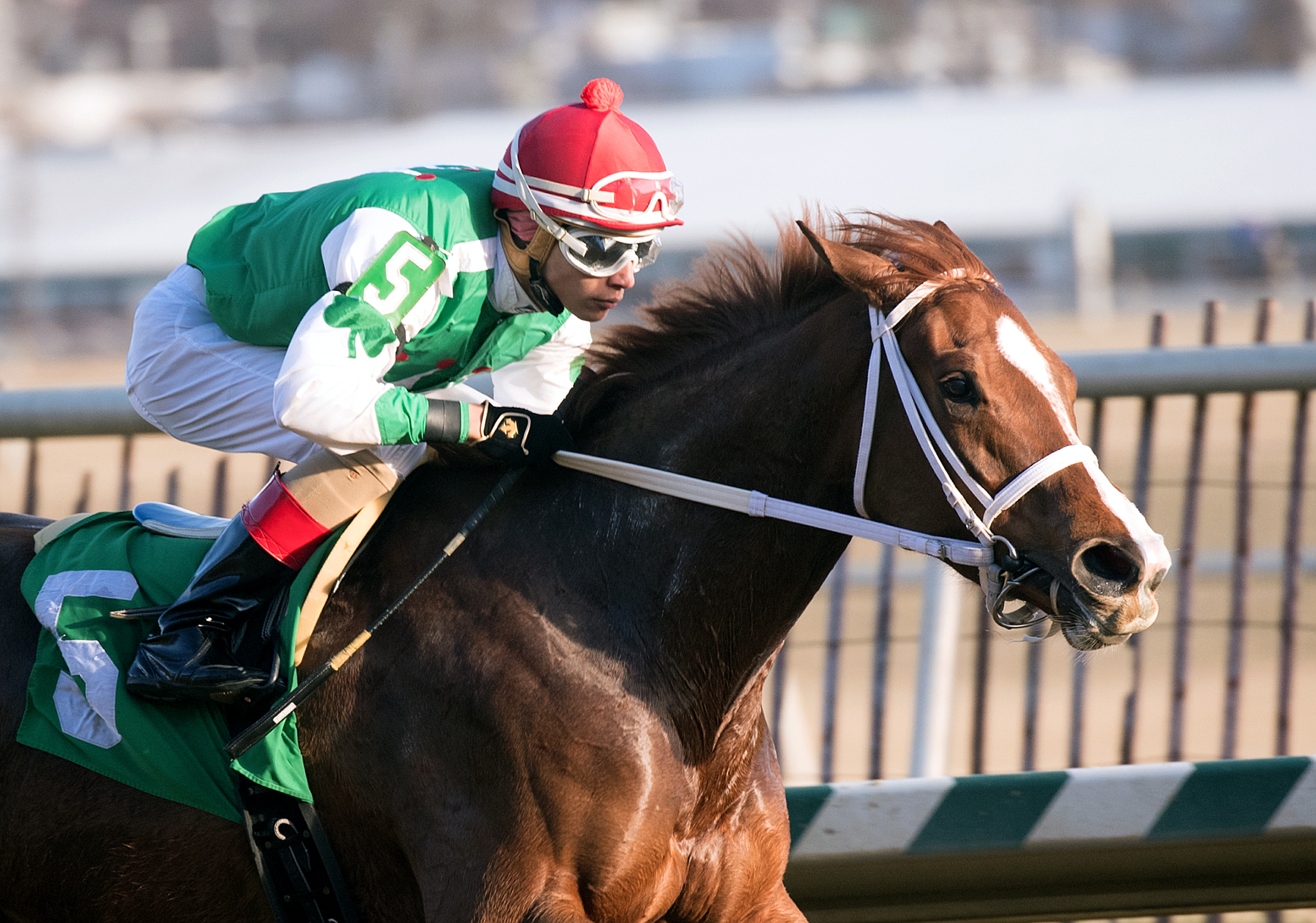 Jorge Vargas Jr wins the What a Summer Stakes with Ms Locust Point