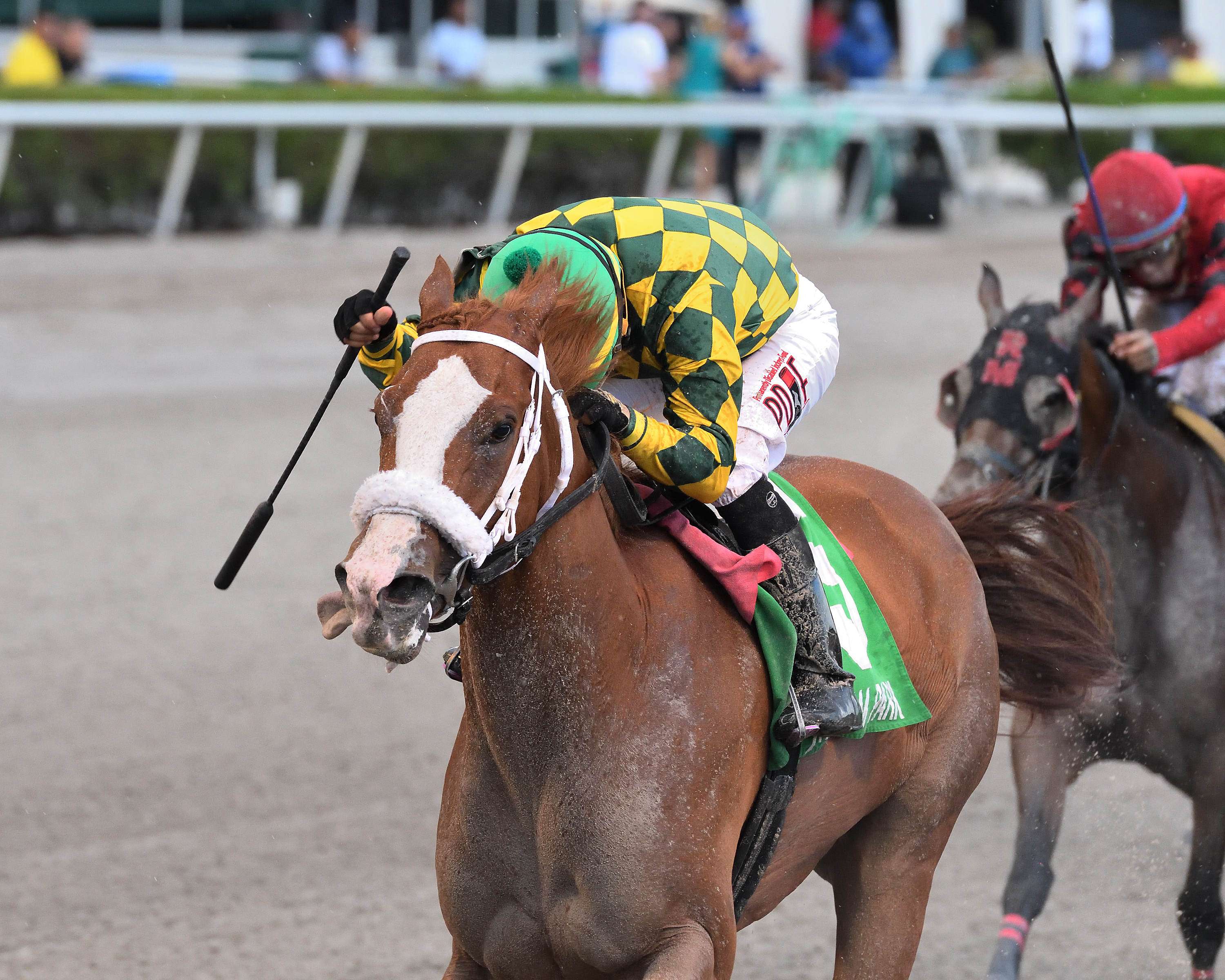 Ms Meshak wins the 2019 Added Elegance Stakes