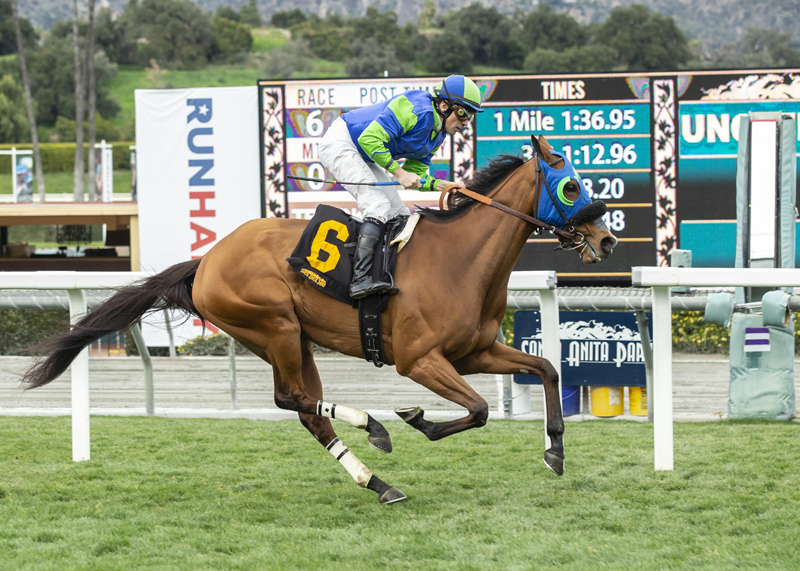 Ms Peintour wins the 2020 Astra Stakes