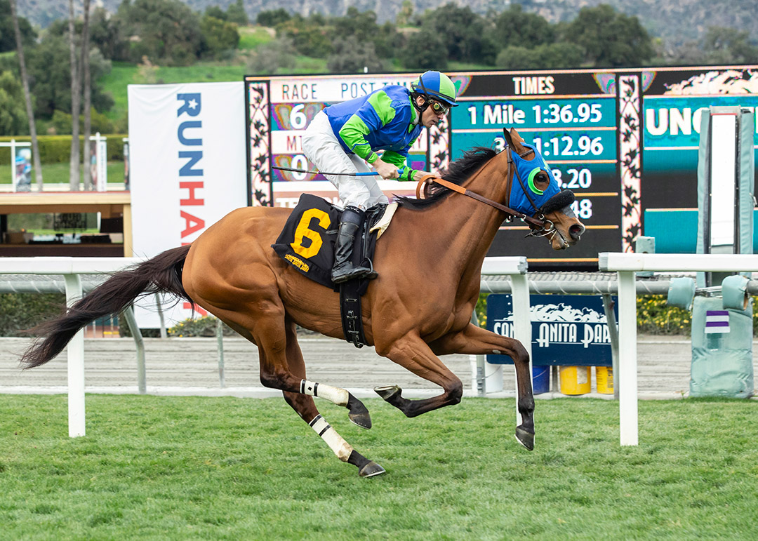 Ms Peintour wins the 2020 Astra Stakes at Santa Anita