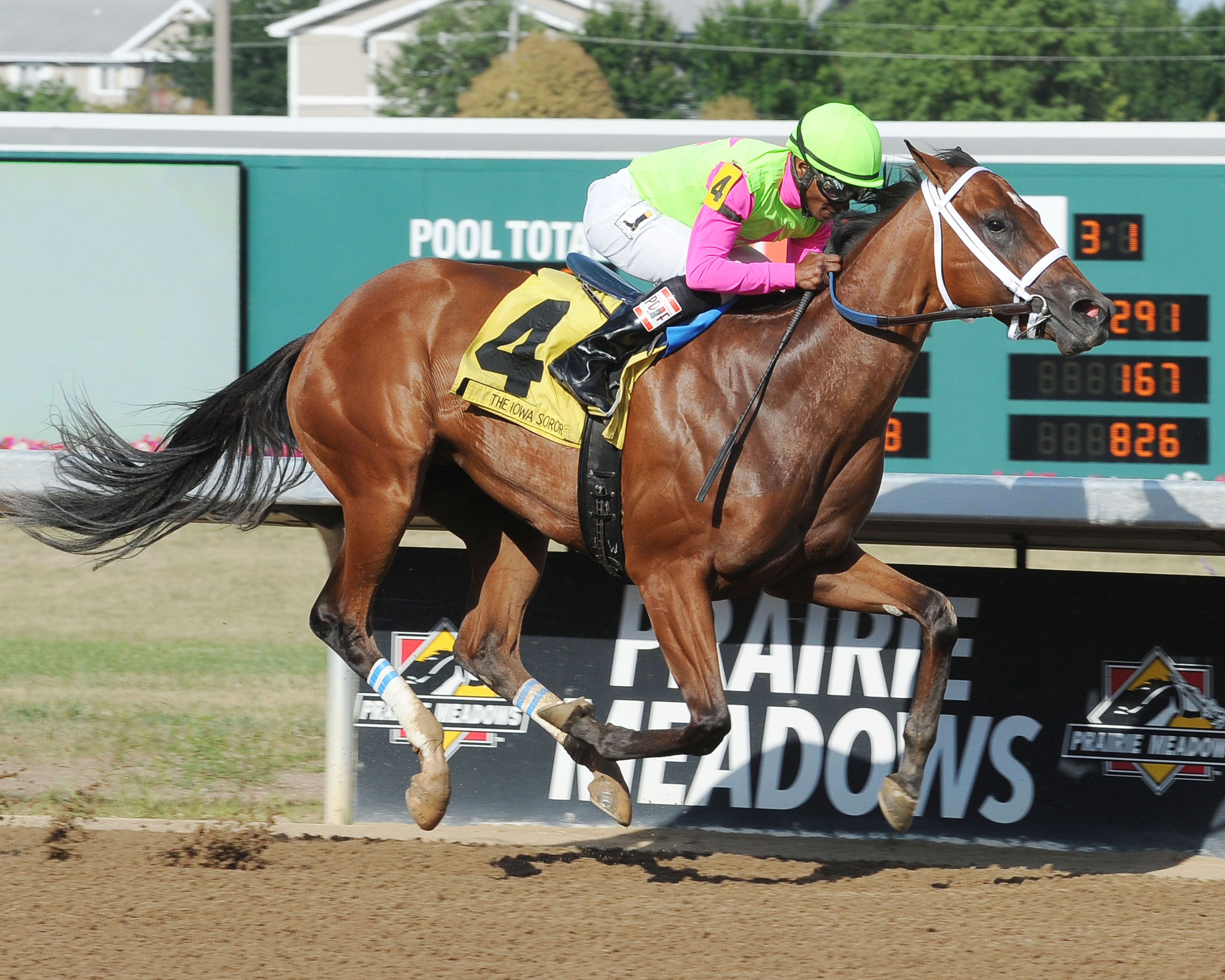 Msbrooklynbrawler wins the Iowa Sorority PRM 8.12.17