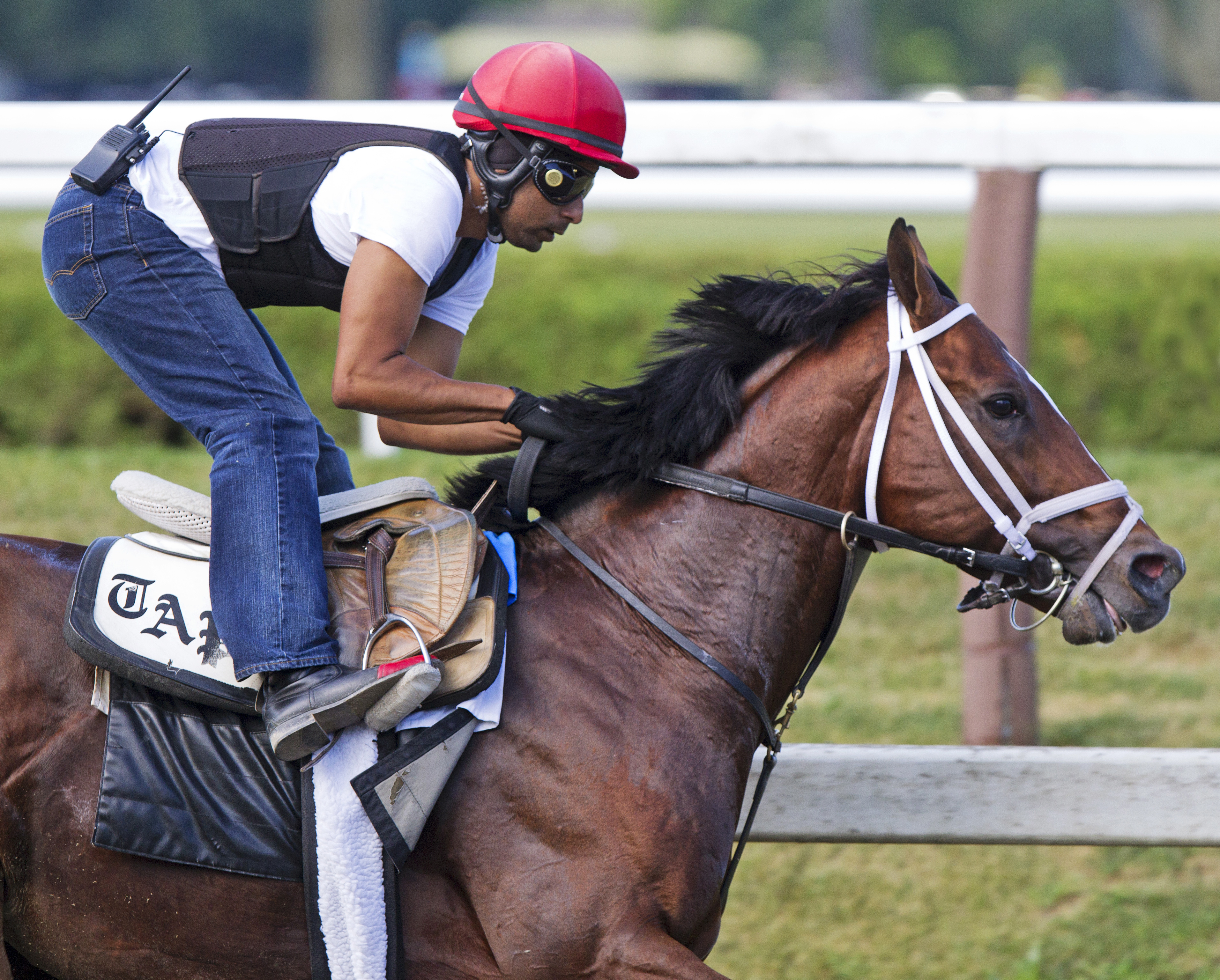 Mshawish trains at Saratoga on Aug. 1