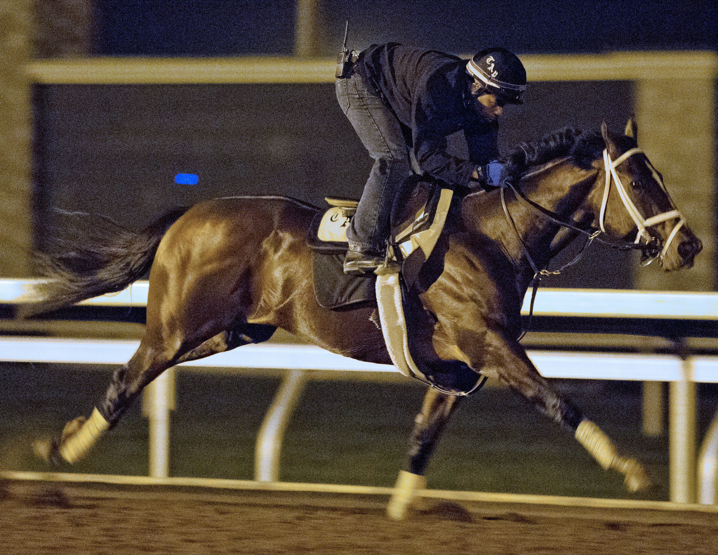 Msawish trains at Keeneland on Oct. 23