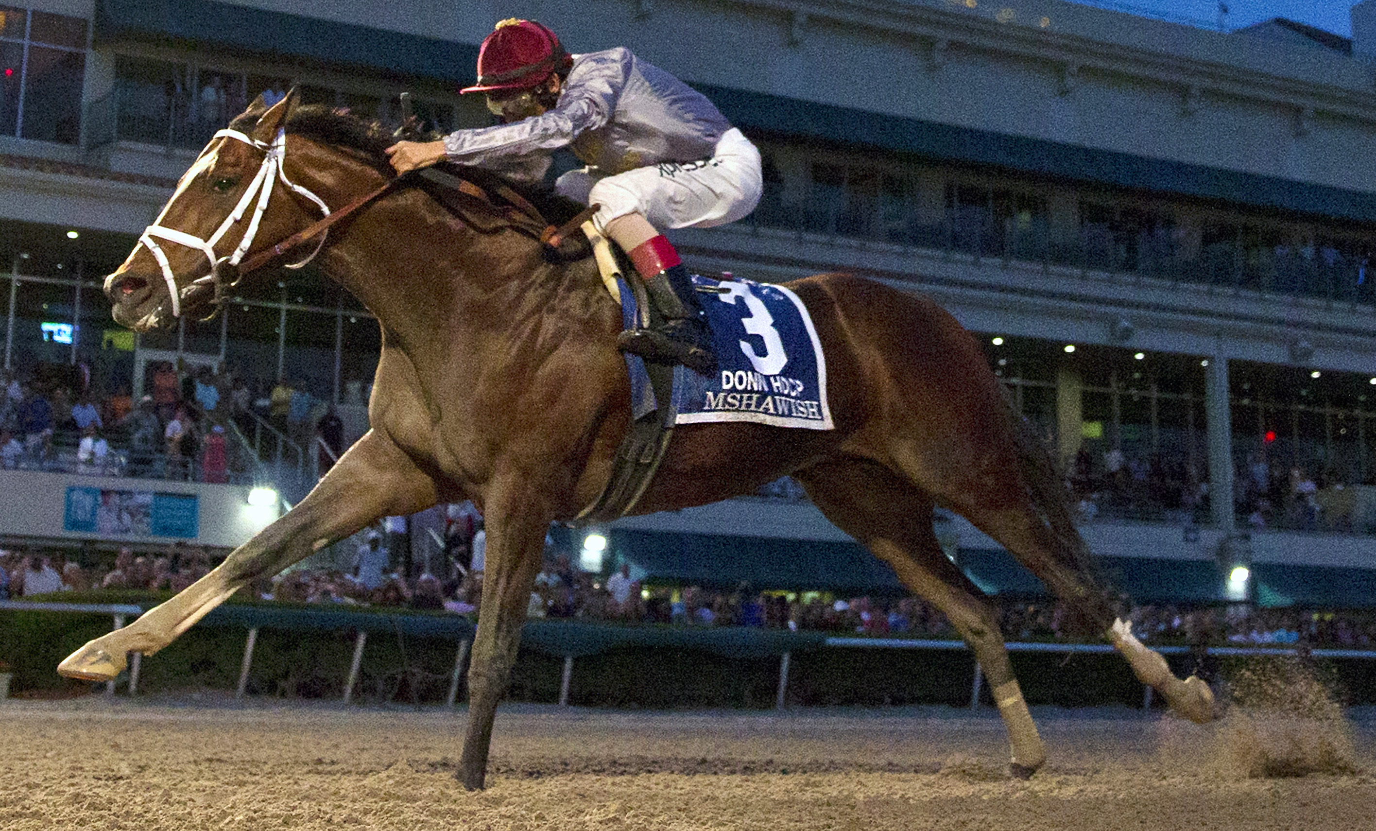Mshawish wins the Donn Handicap