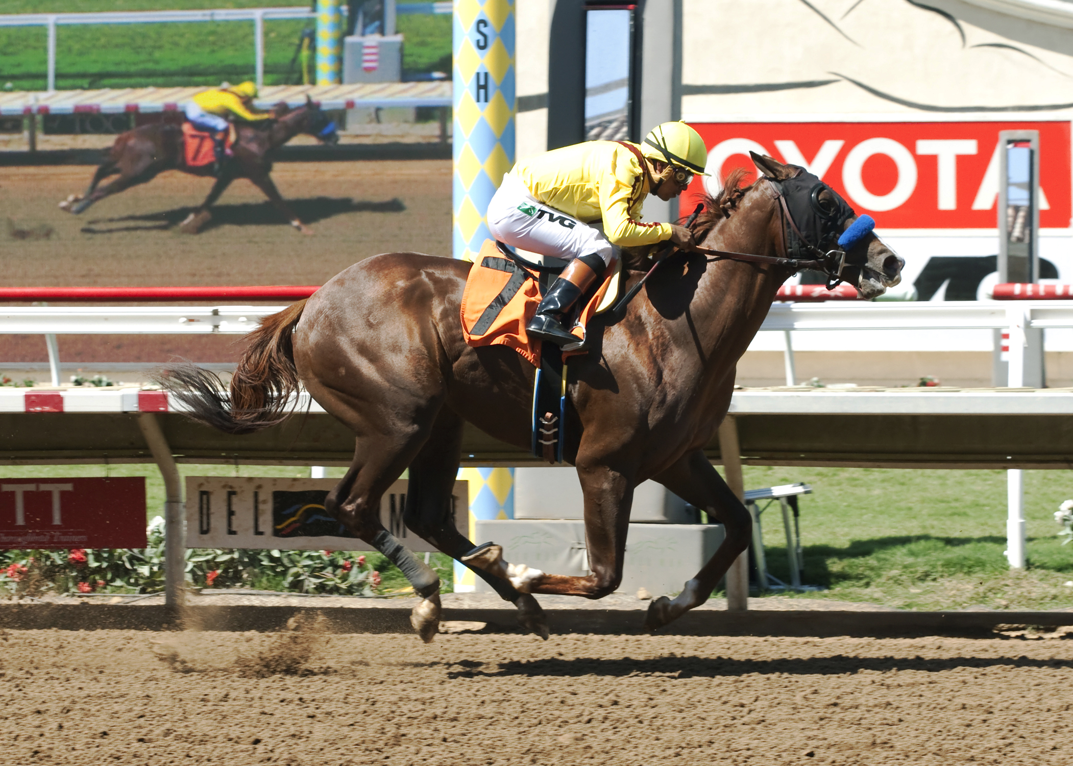 Mt Veeder wins a maiden race