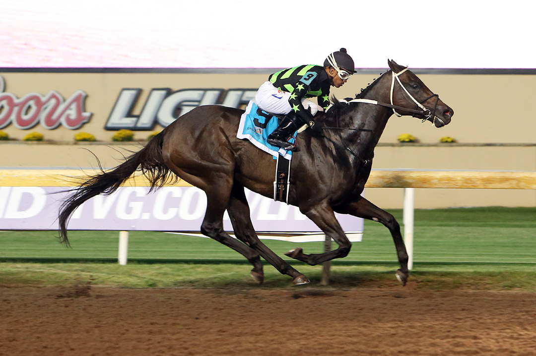 Mt. Brave wins the Flashy Lady Stakes at Remington Park