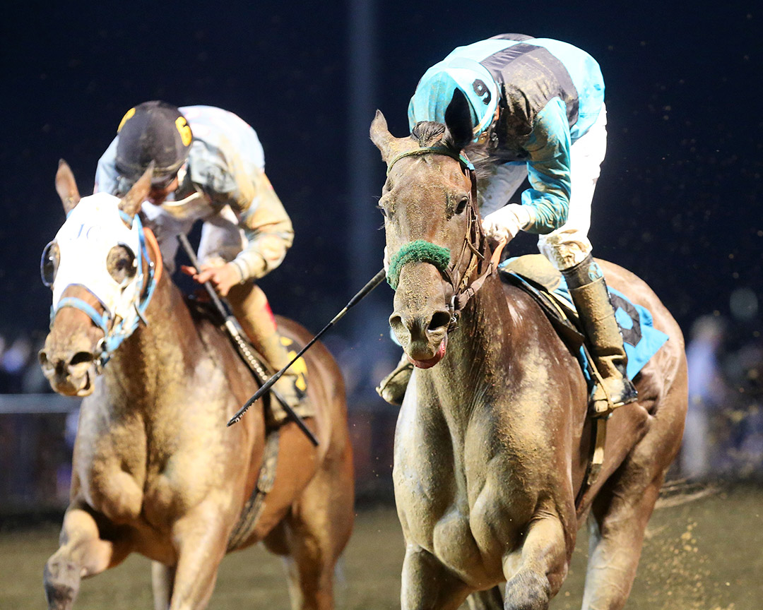 Muad'dib (right) wins the 2021 Frank Gall Memorial at Charles Town