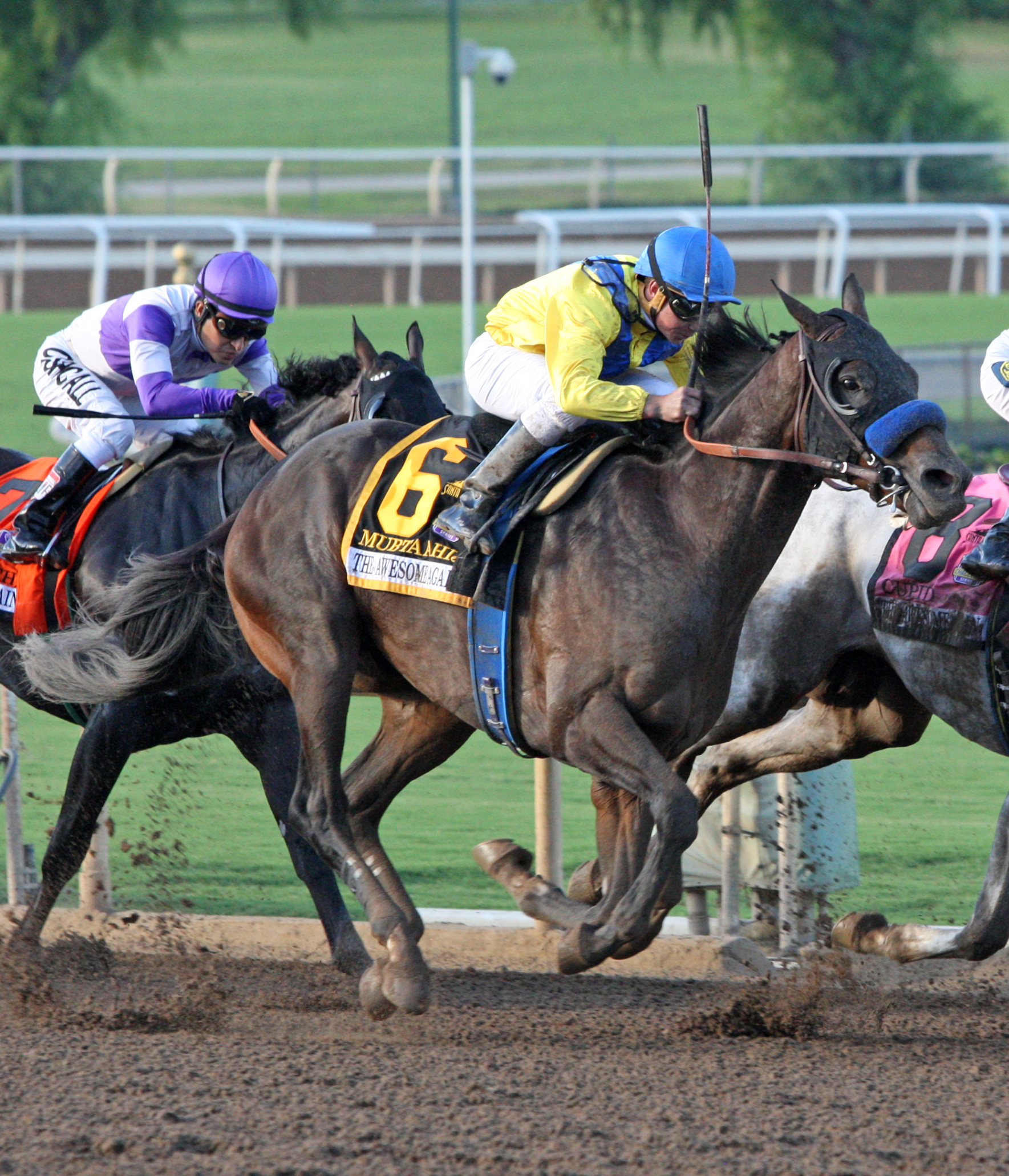 Mubtaahij on the turn in the Awesome Again-ESH