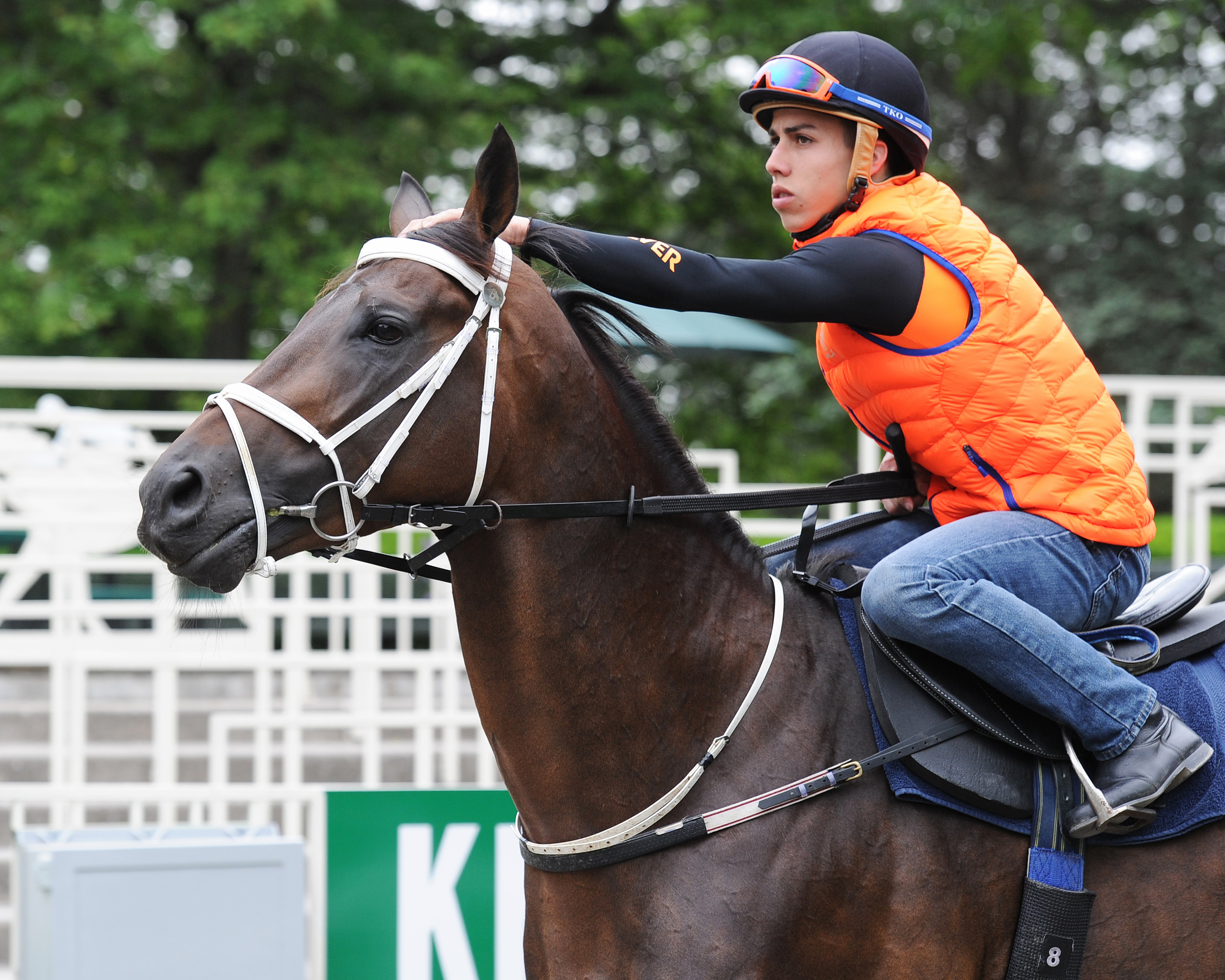 Mubtaahij and Irad Ortiz Jr.