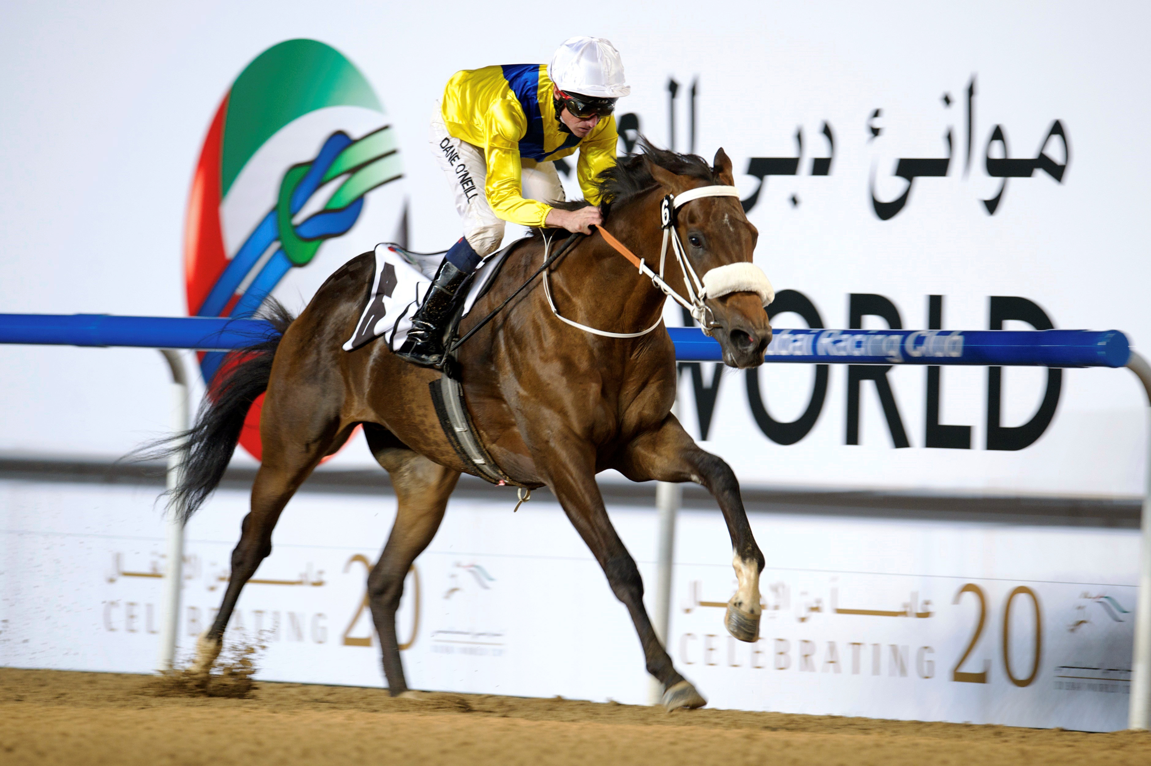 Mubtaahij wins the UAE 2000 Guineas Trial