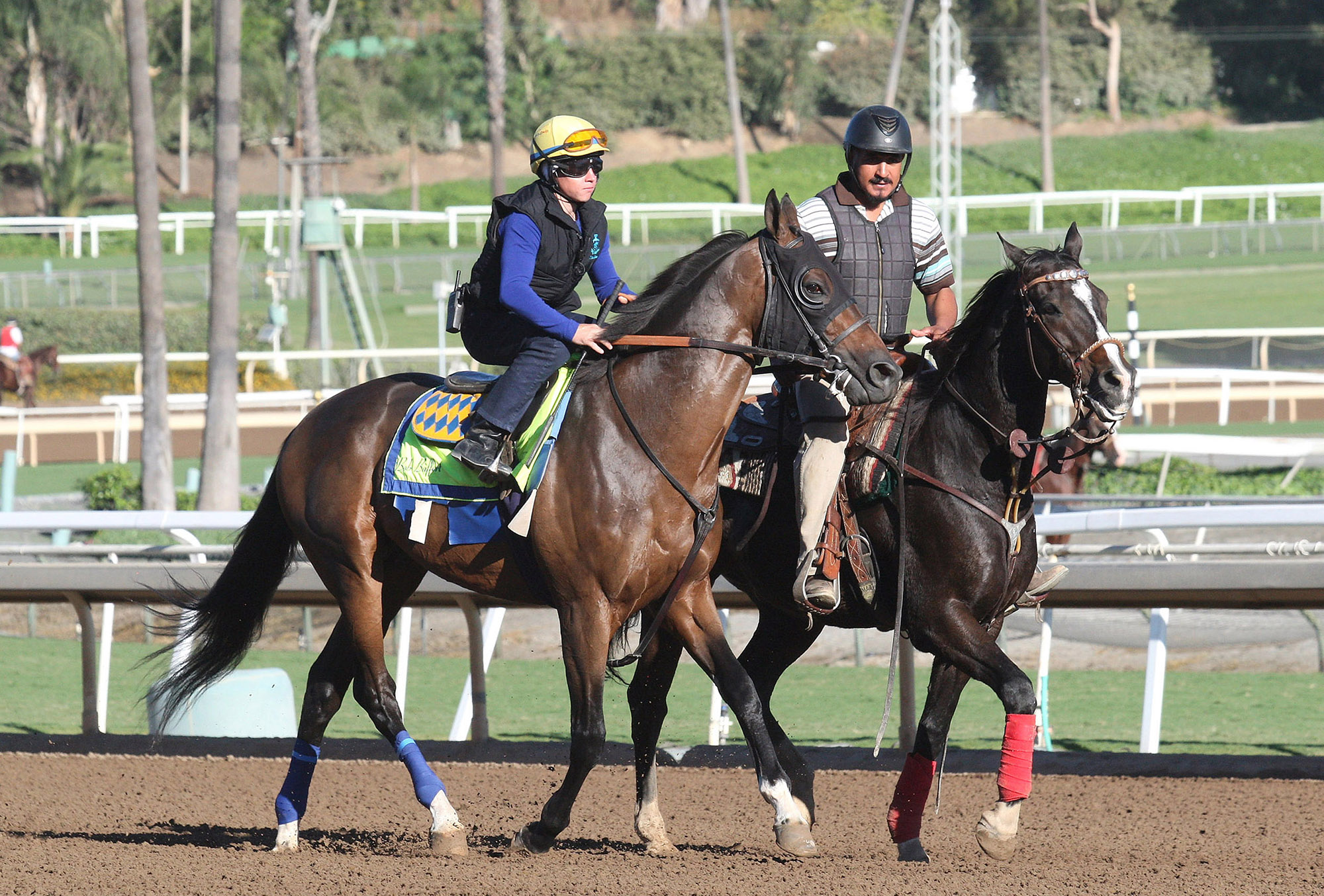 Mubtaahij at Santa Anita on Oct. 23
